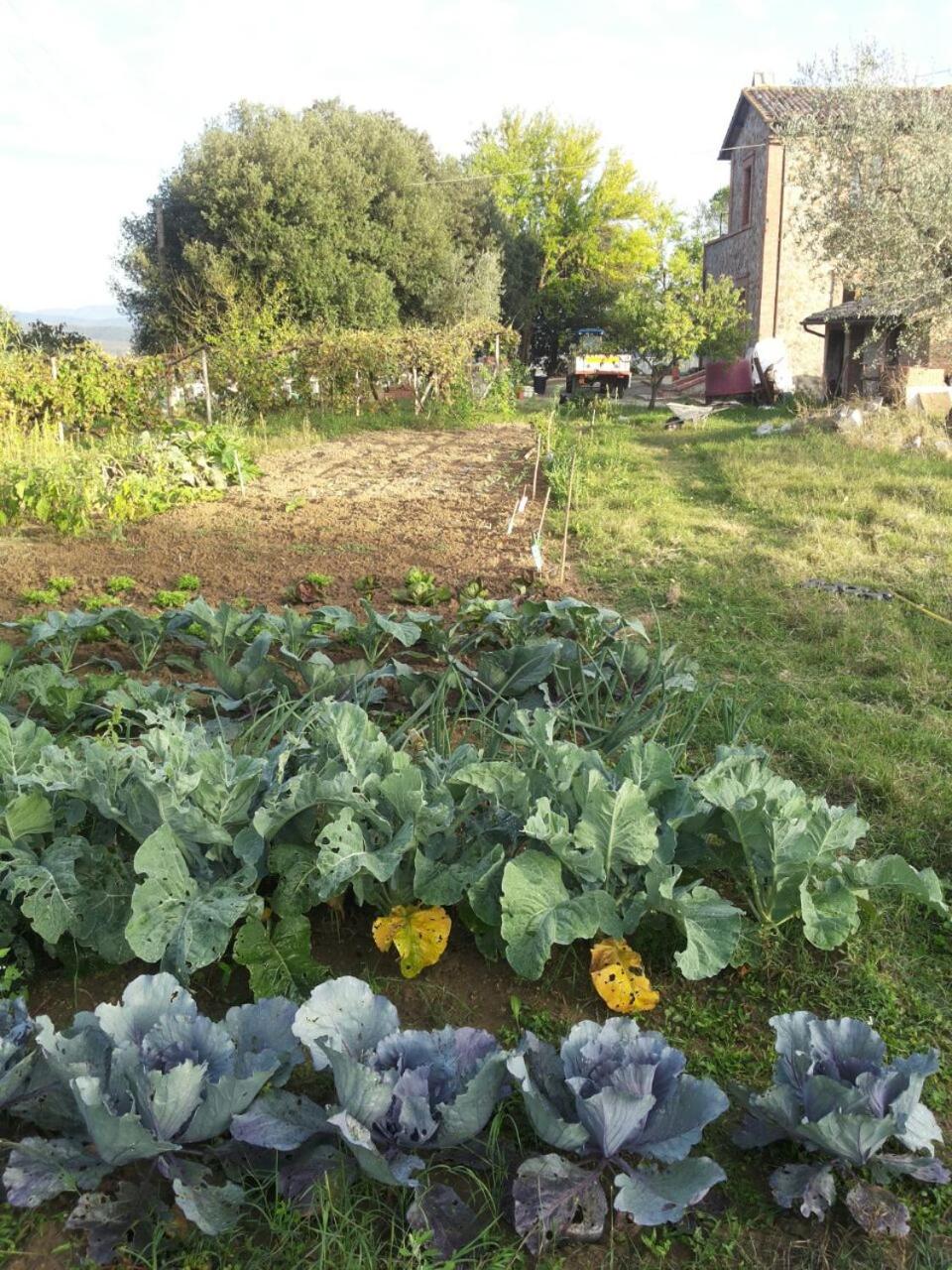 Agriturismo Riparossa