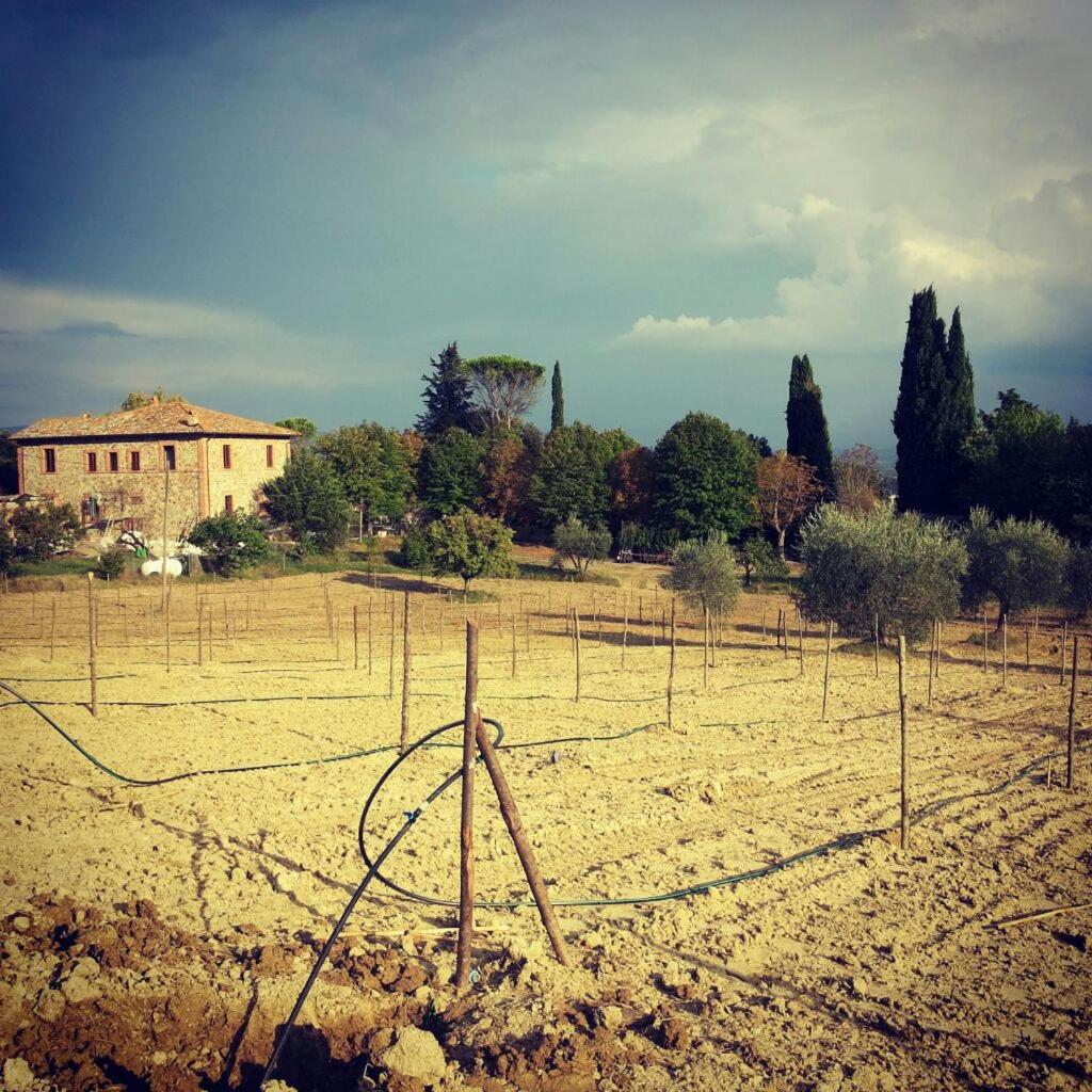 Agriturismo Riparossa