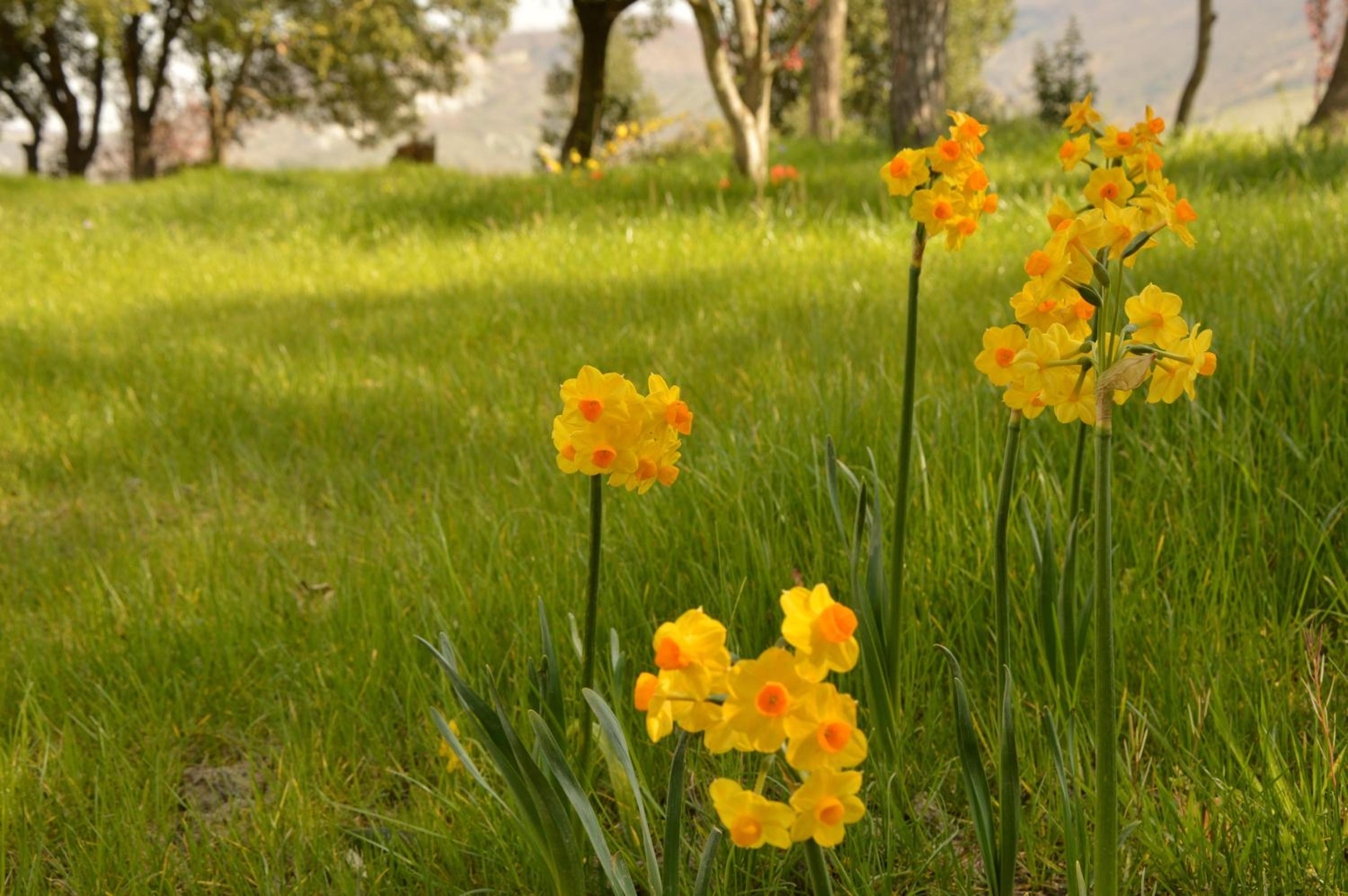 Agriturismo Riparossa