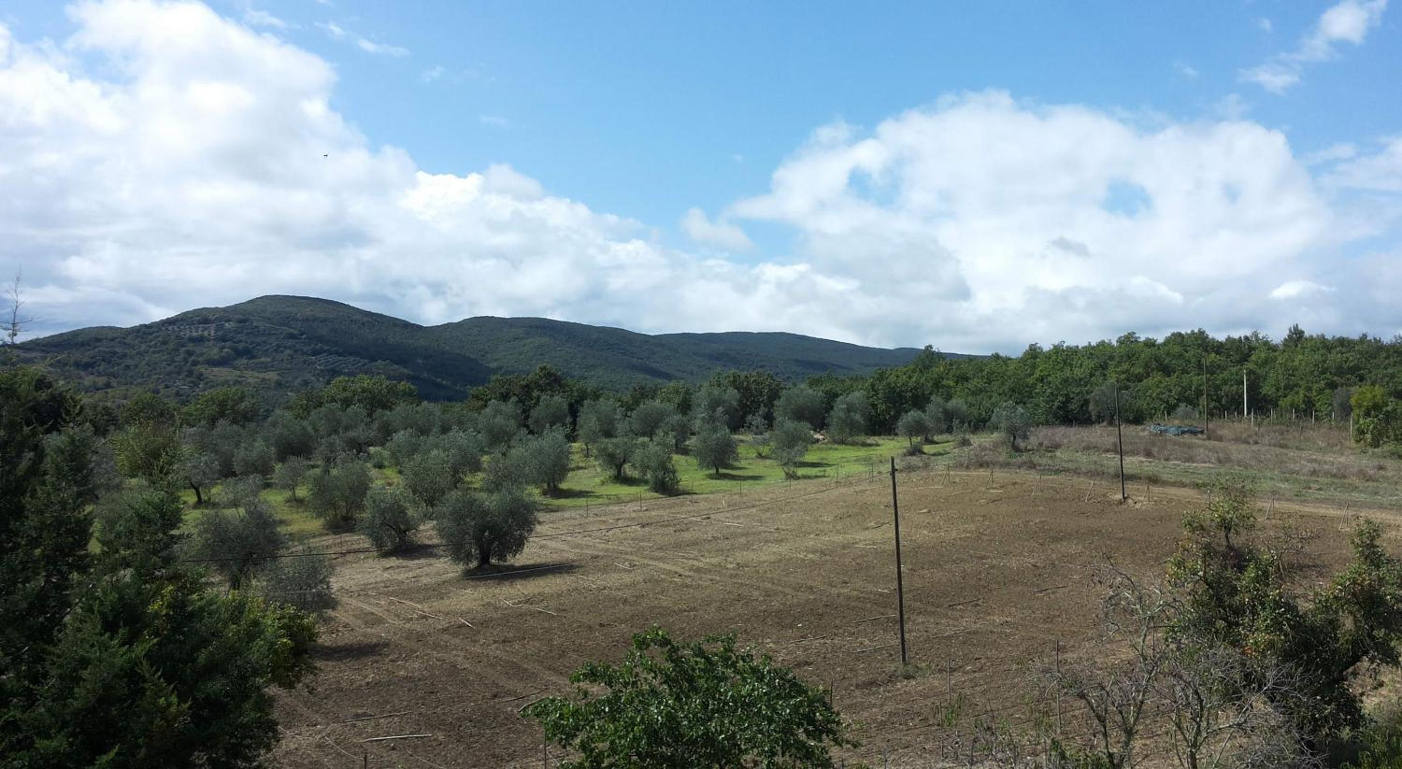 Agriturismo Riparossa
