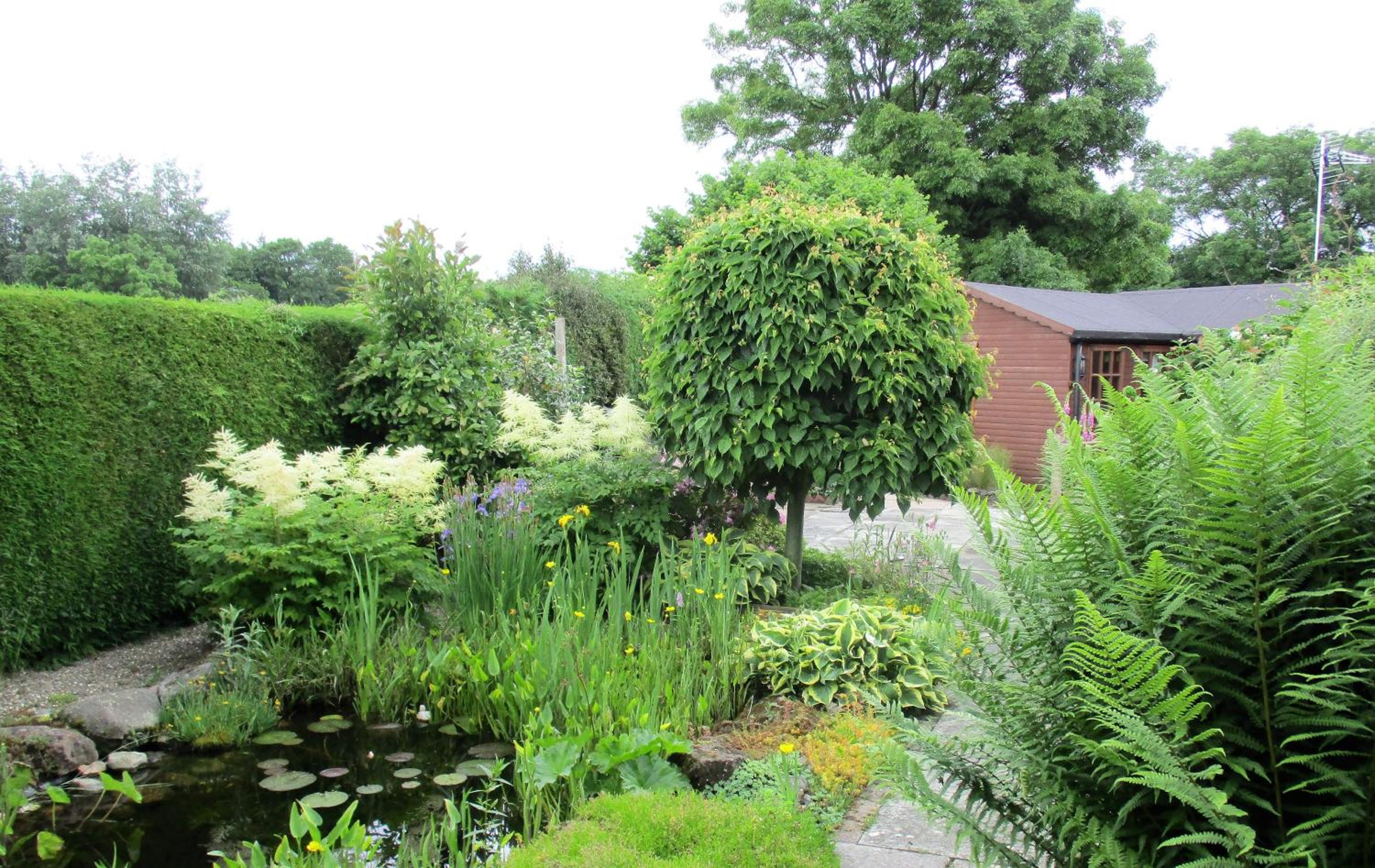 Photo 21