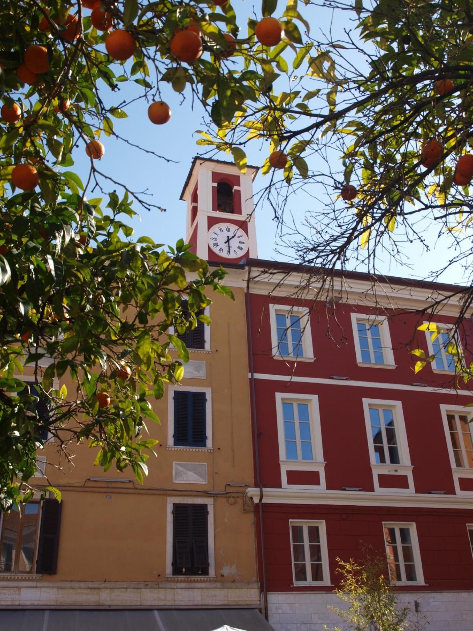 Photo 45