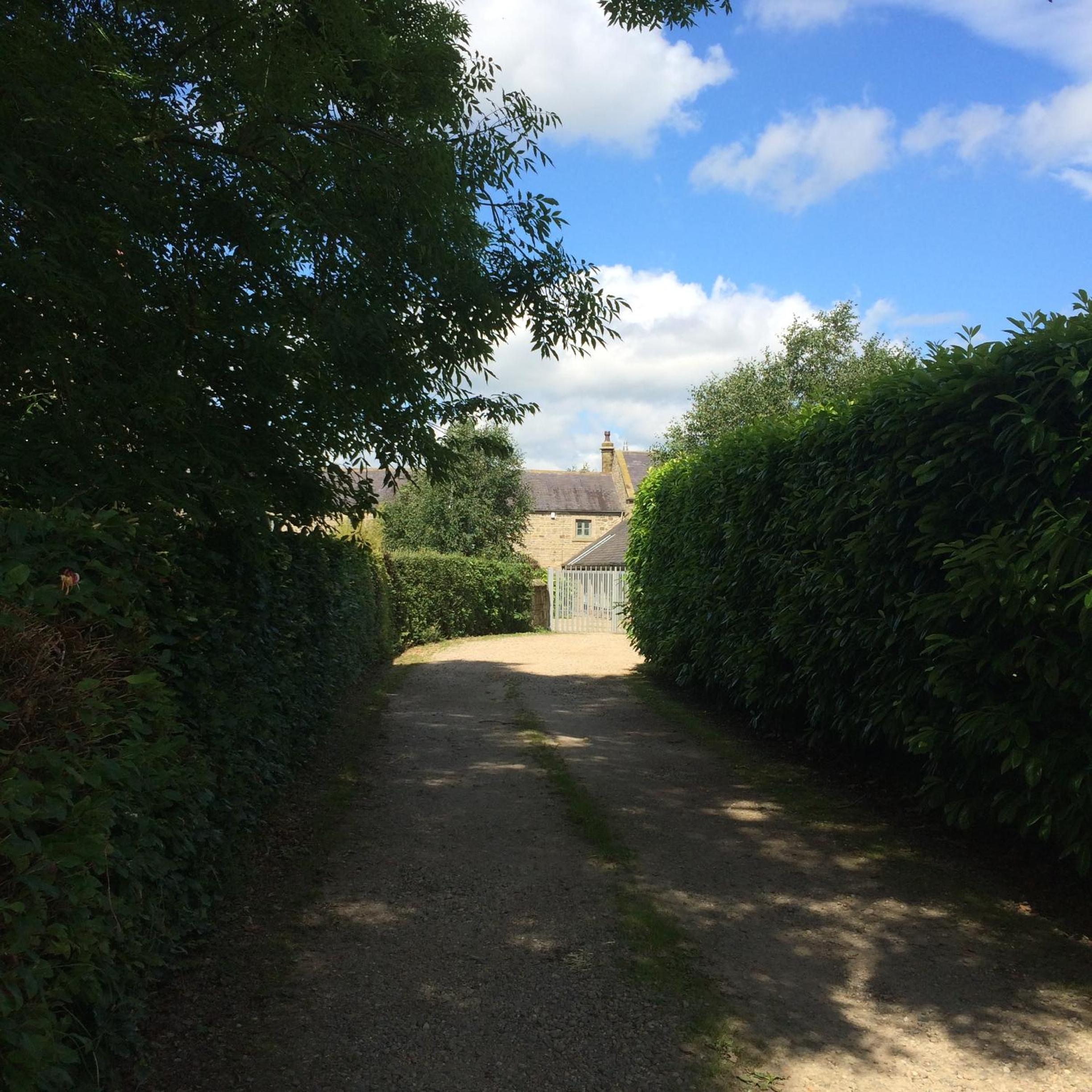 Photo 25
