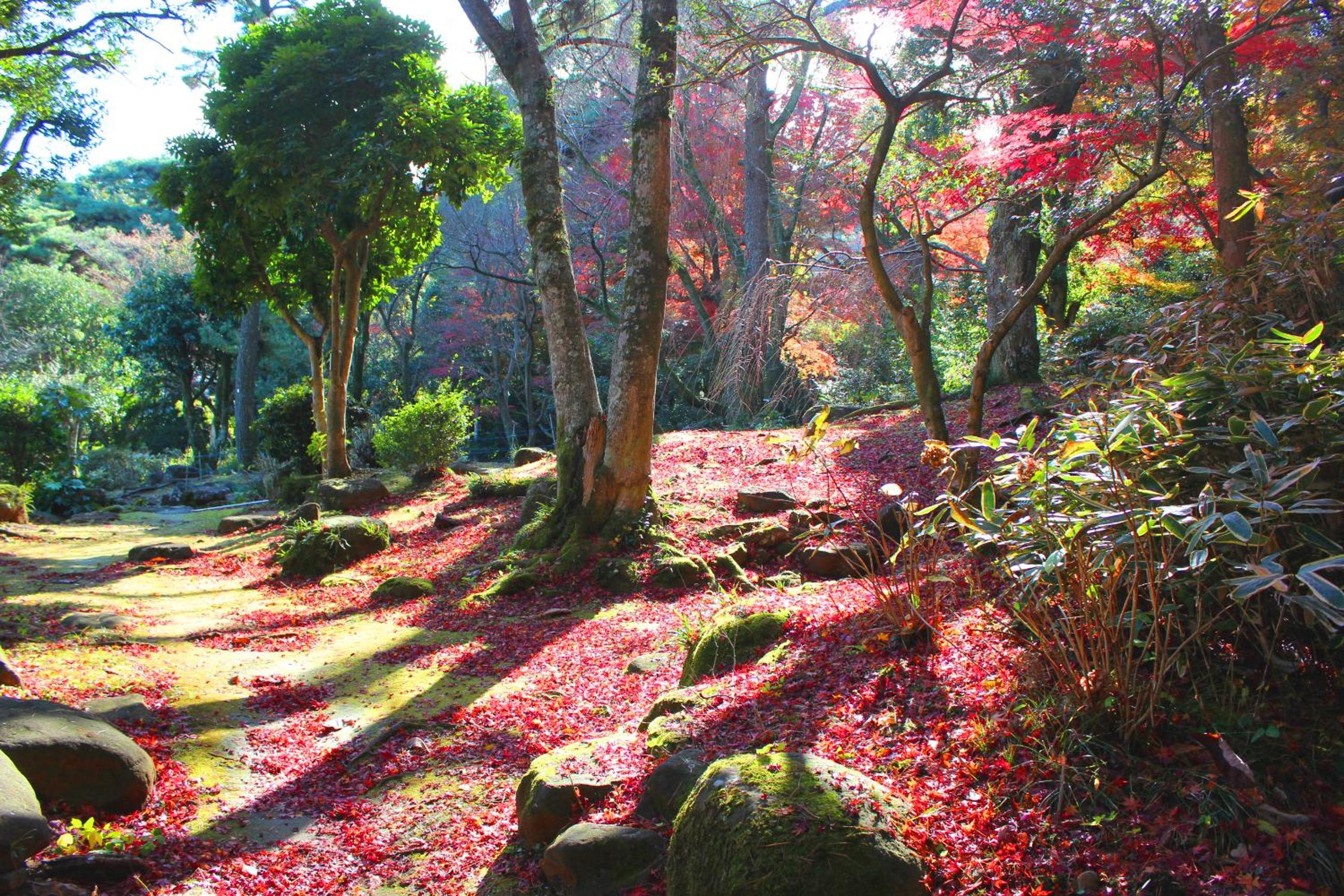 Izuajiro-onsen Shoufuen