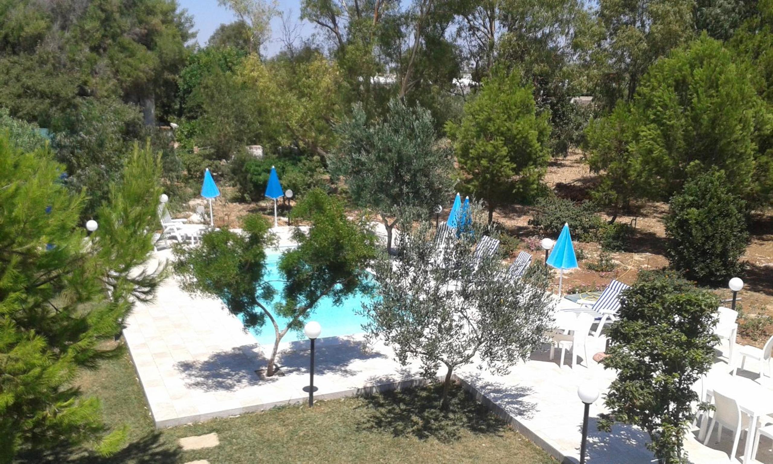 Verdeblu photo 5