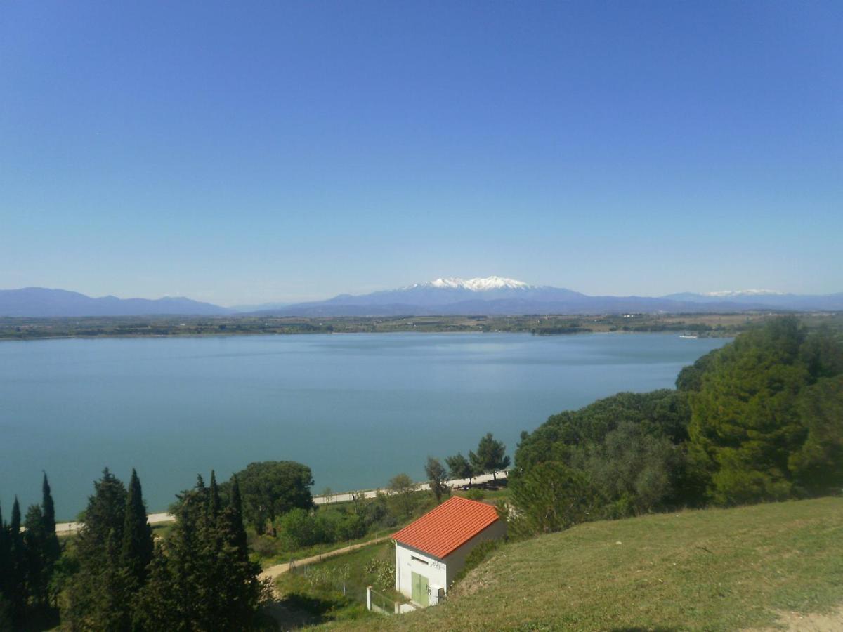 L´oliveraie