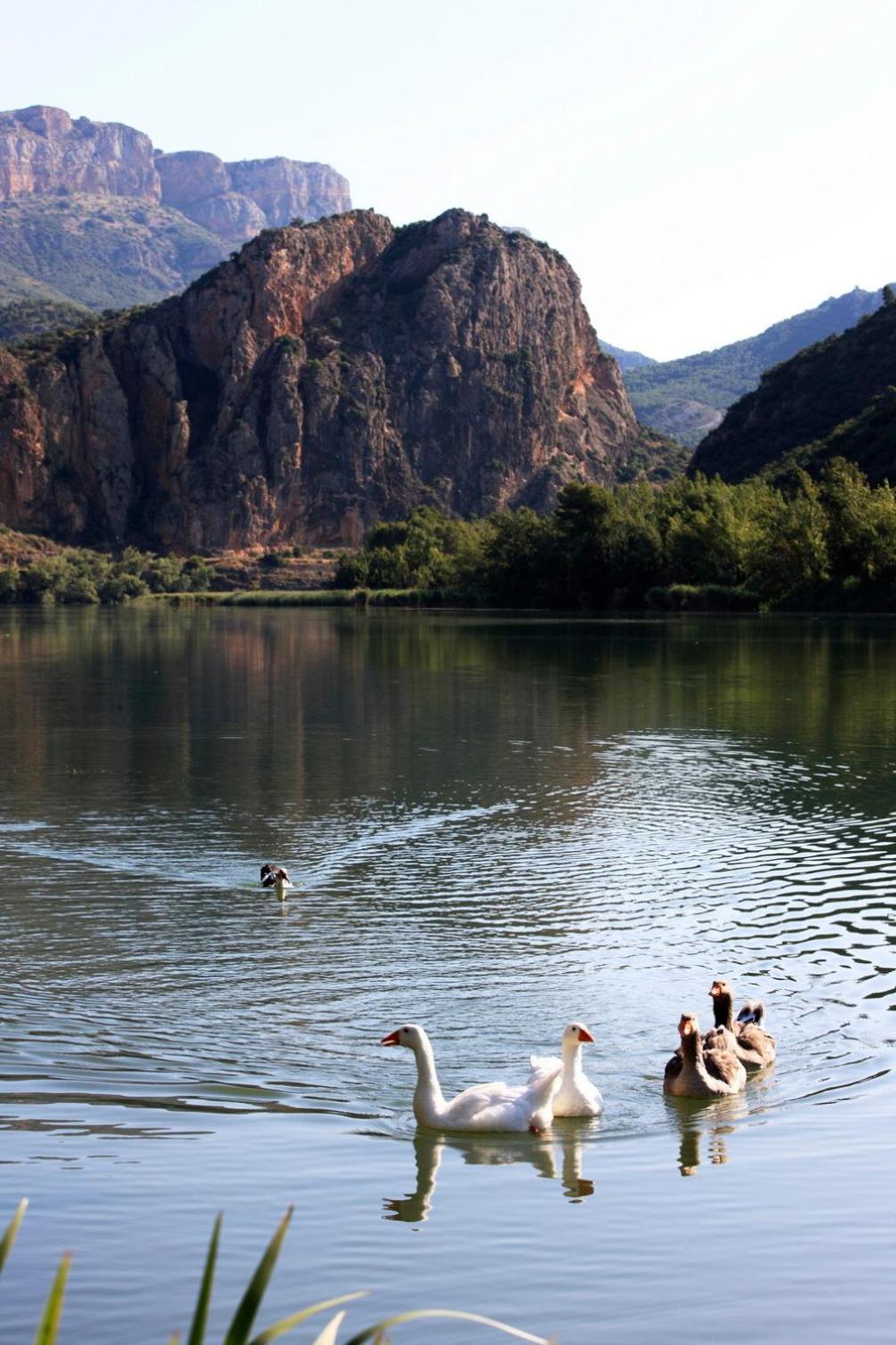 La Noguera Camping