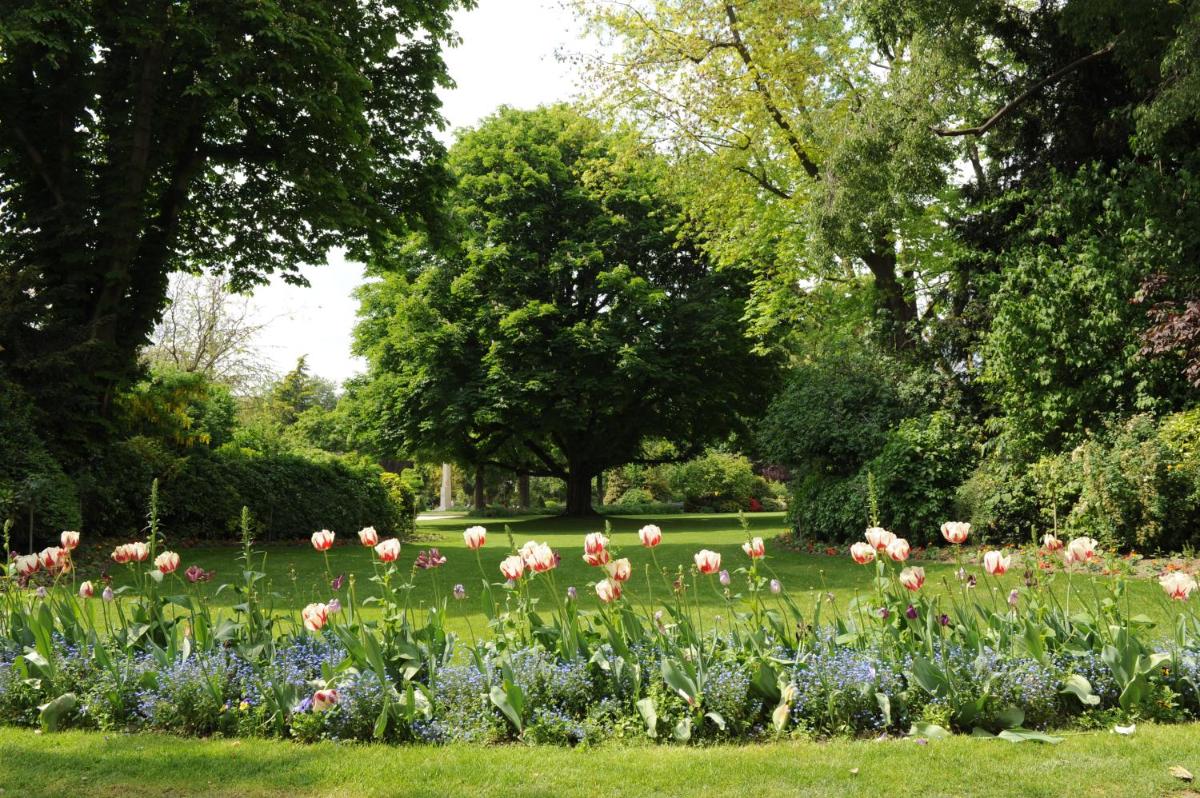 garden