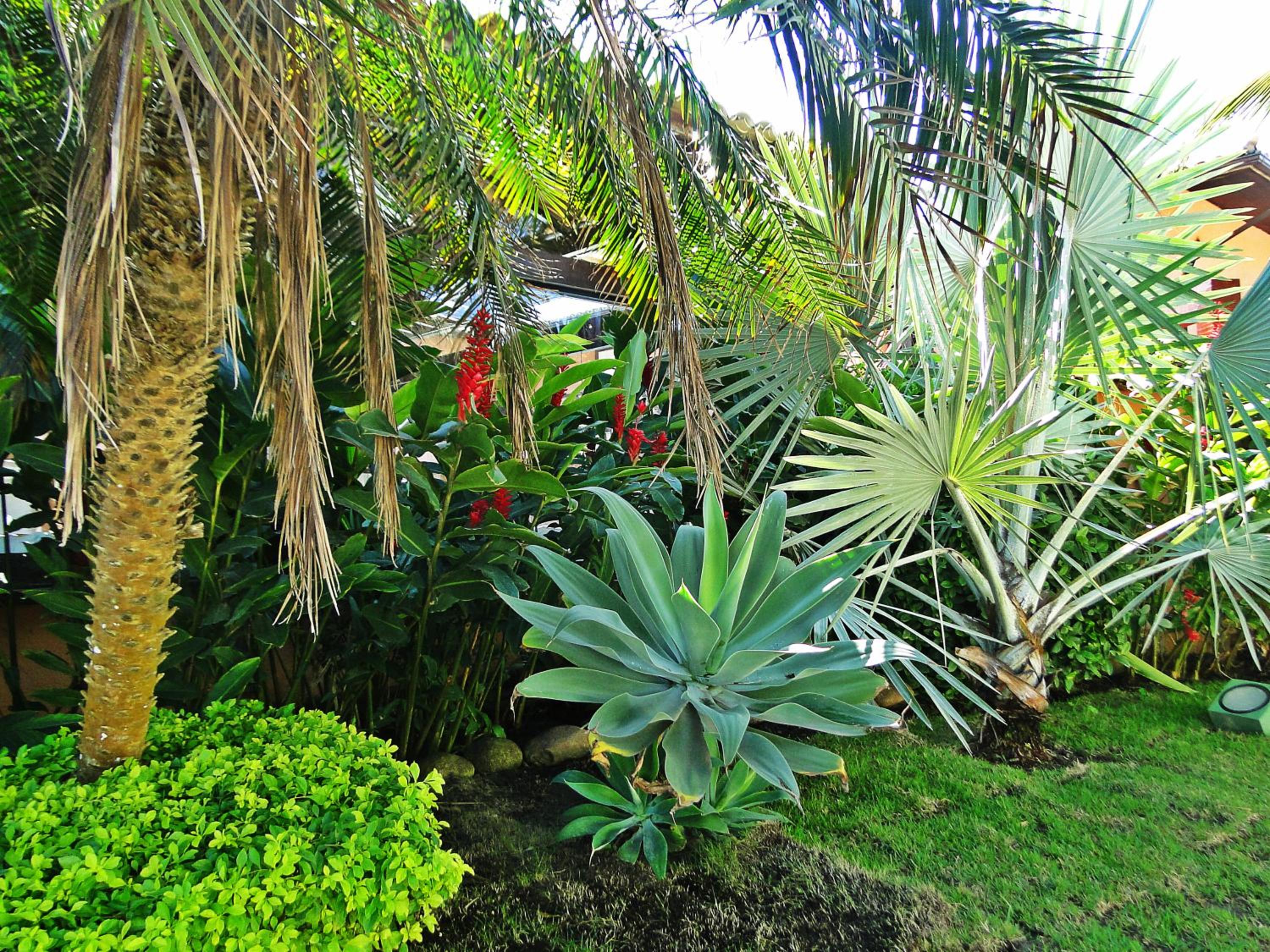 Pousada Marbella Inn