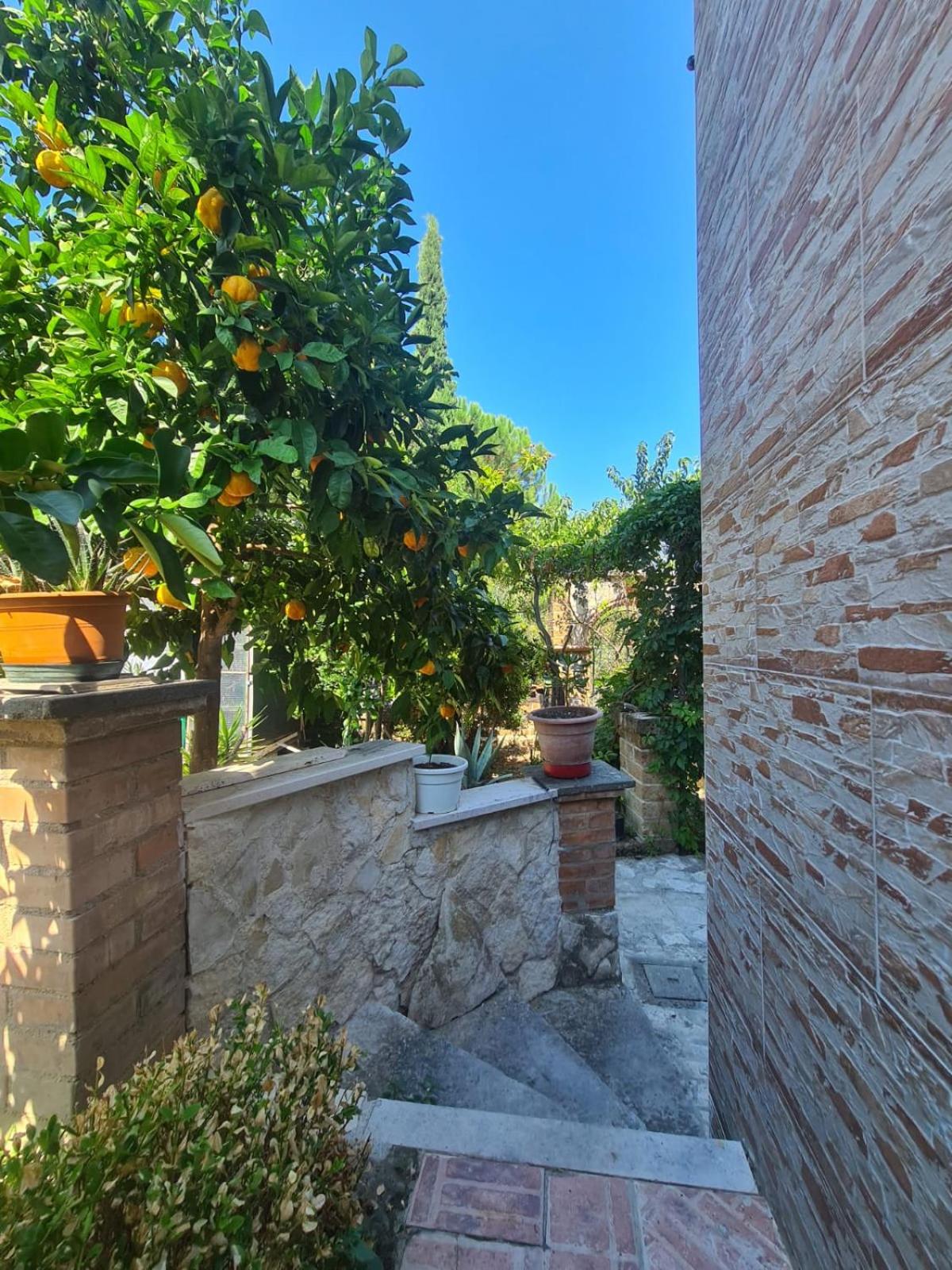 Residenza Magister