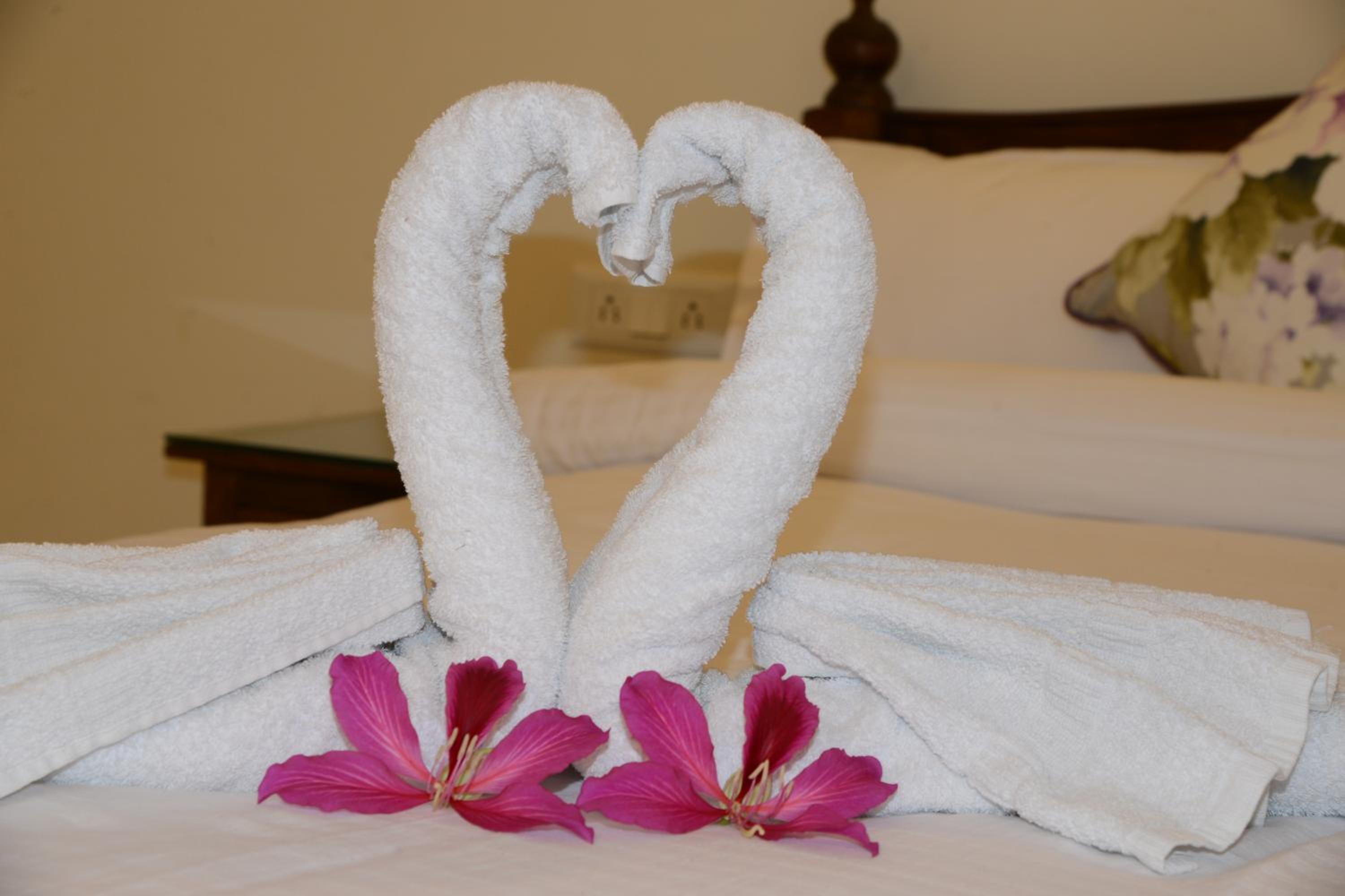 Bikaner Vacations - Hotel Jaswant Bhawan - Property Image 18