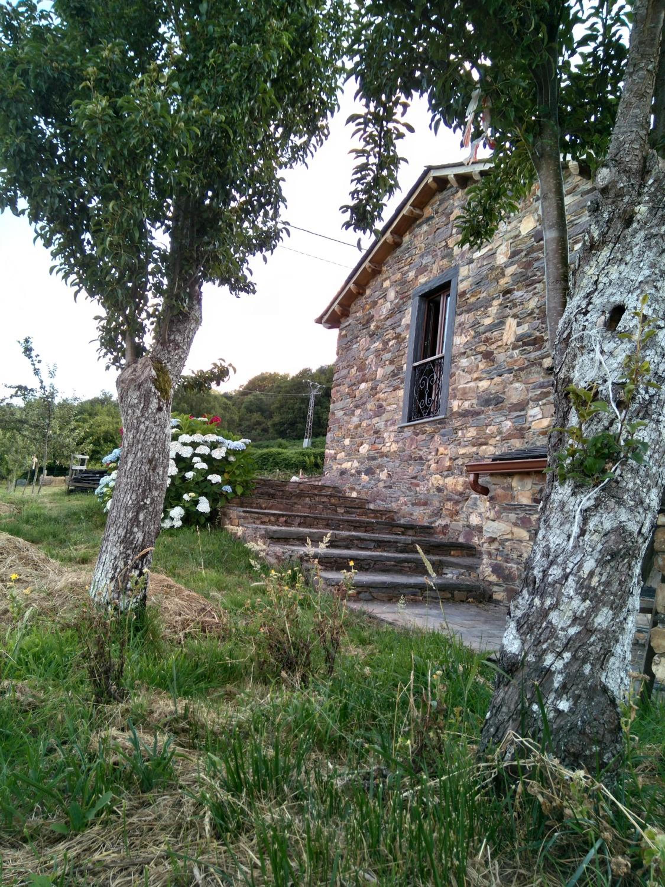 Photo 38