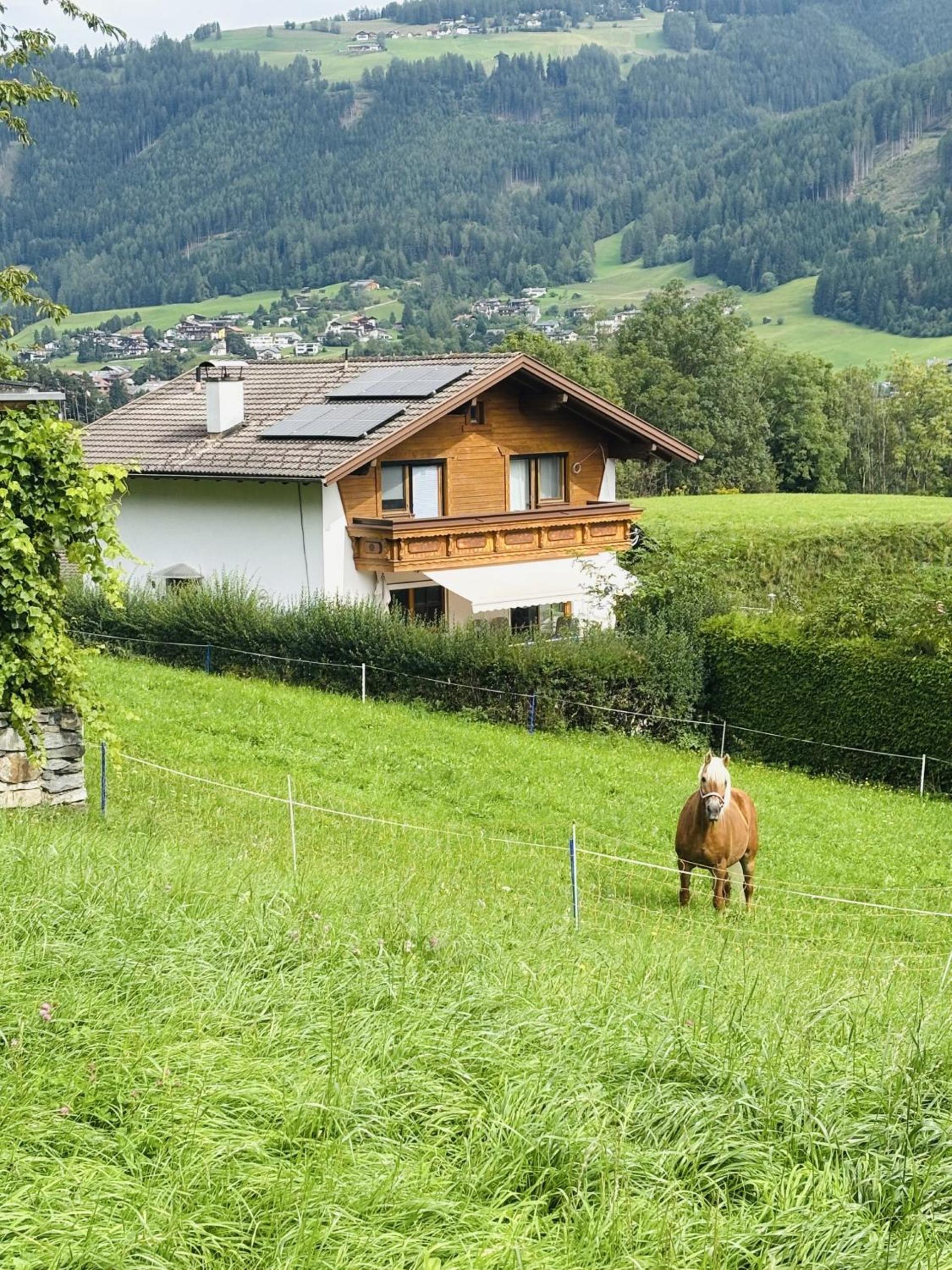 Alpenpause Apartment in Telfes