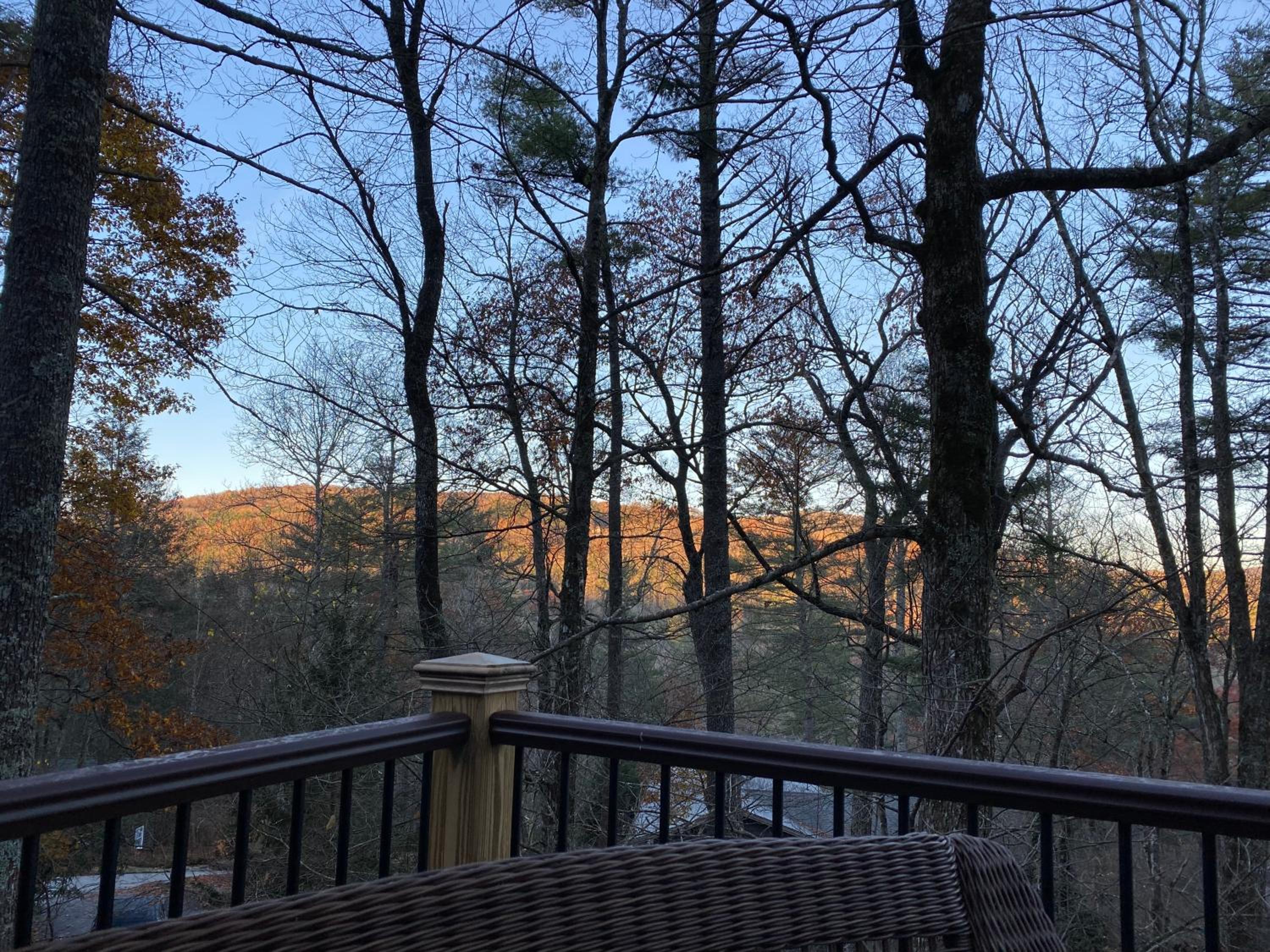 Red Top Tree House