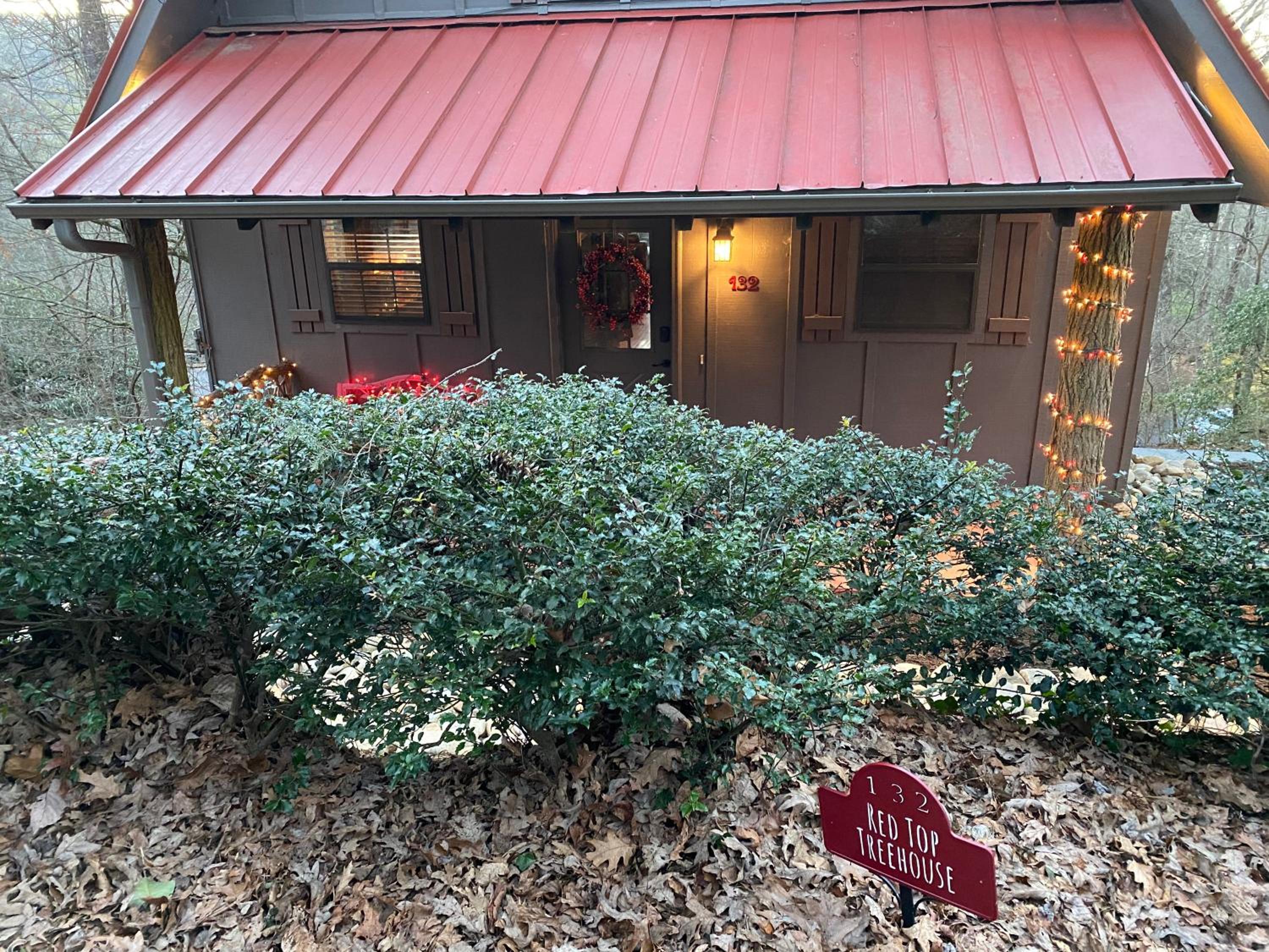Red Top Tree House