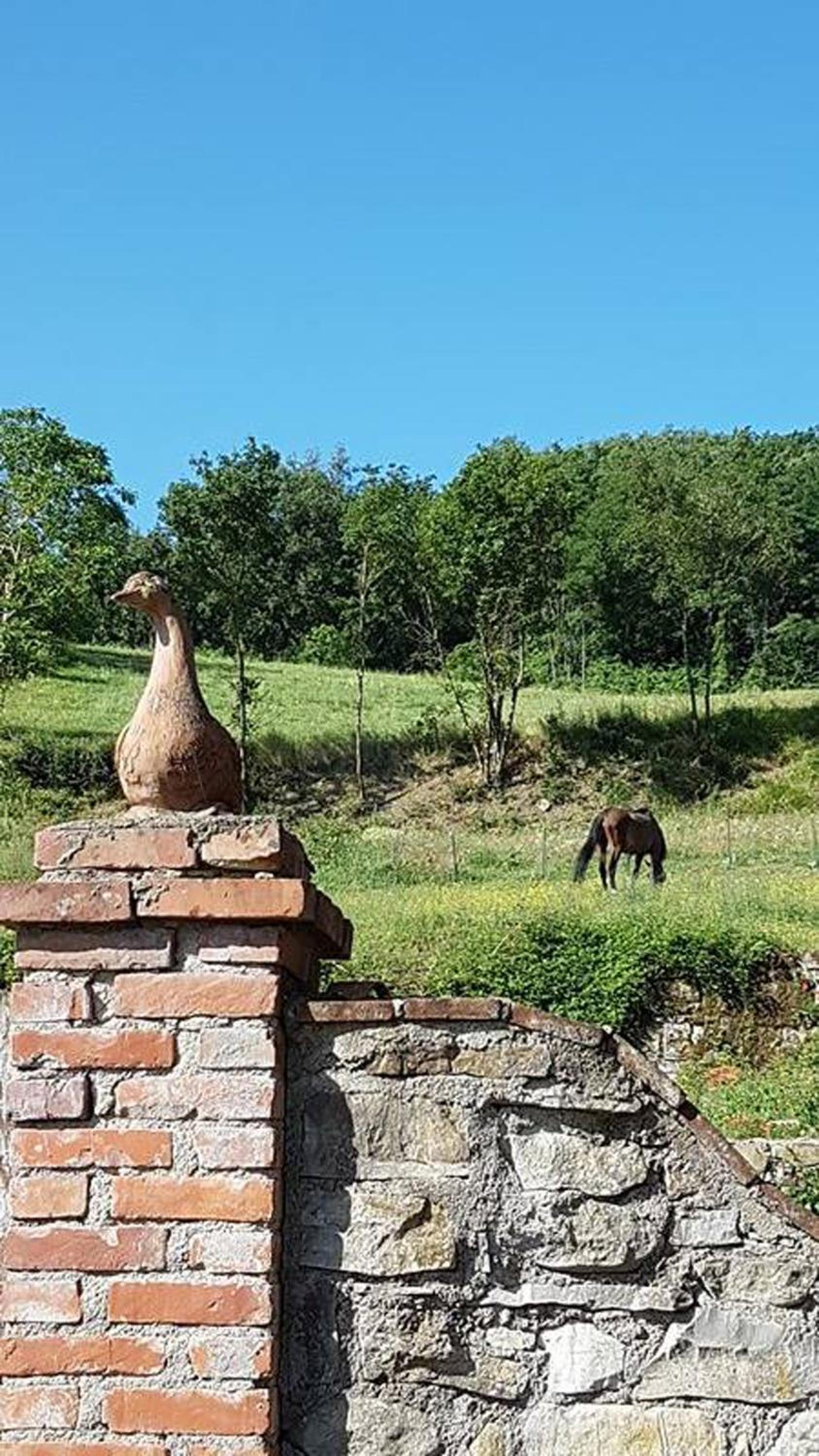 Podere Casina Rossa
