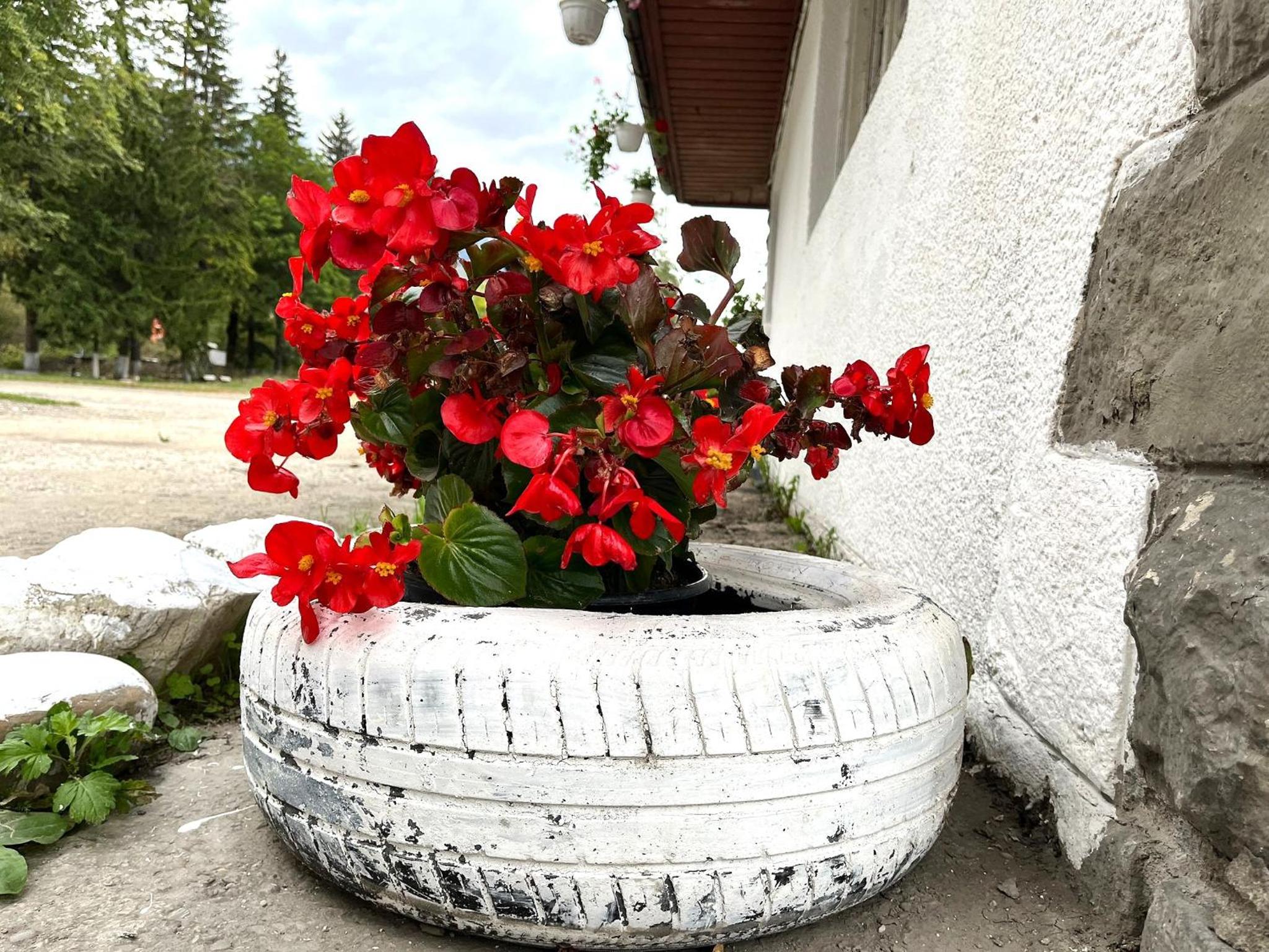 Deer House - Fireplace 1BR near Sinaia Plaza