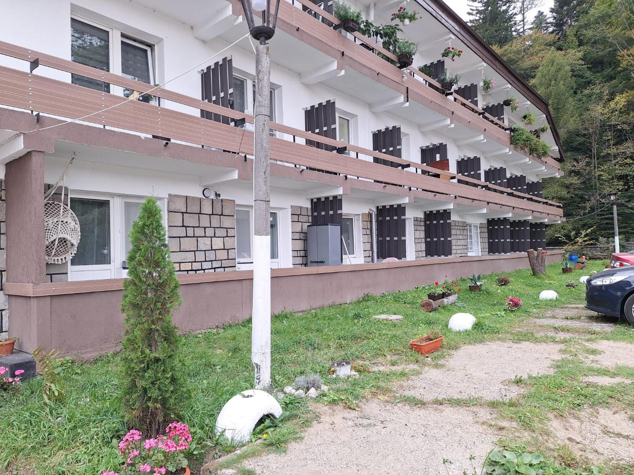 Deer House - Fireplace 1BR near Sinaia Plaza