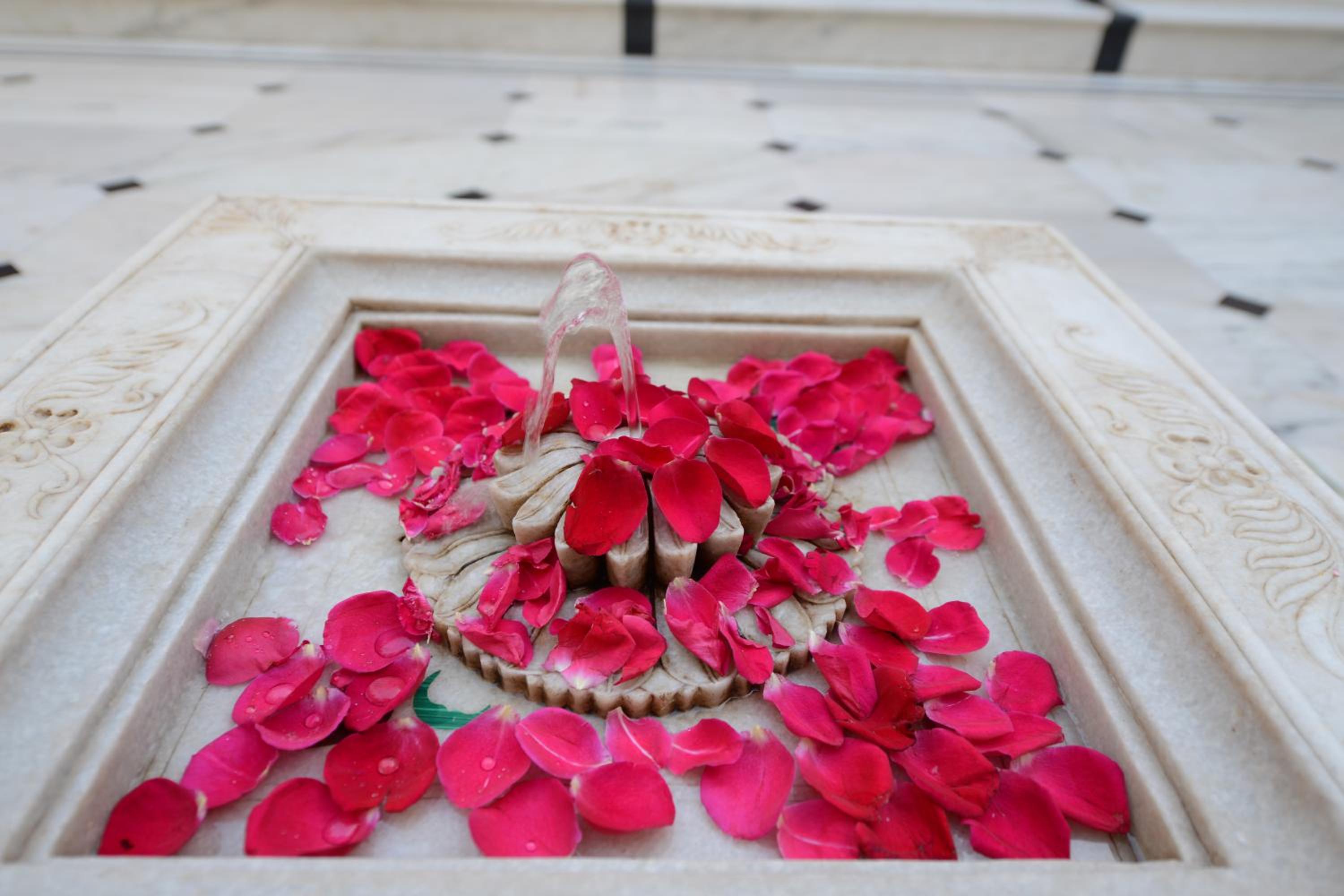 Bikaner Vacations - Hotel Jaswant Bhawan - Property Image 29