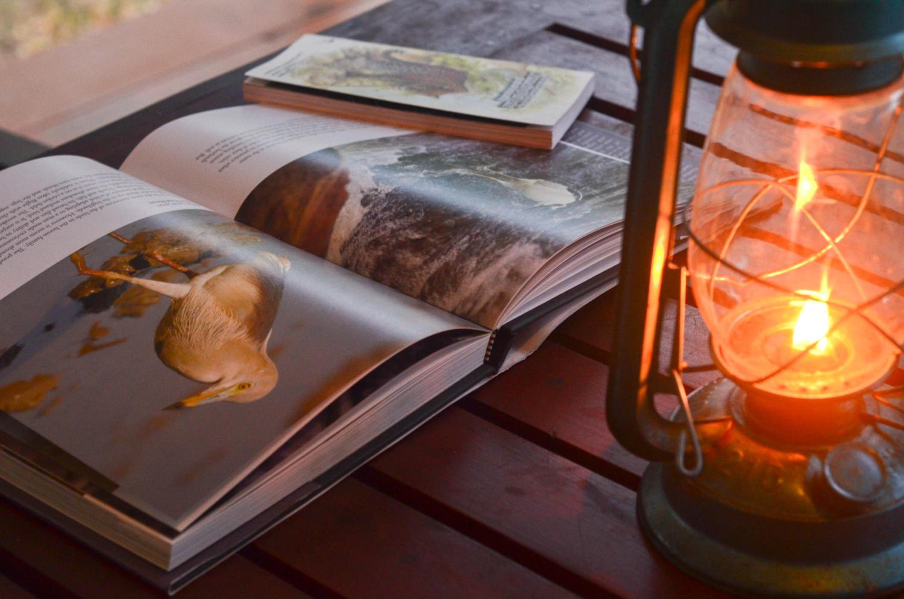 Camp Leopard - Yala Safari Glamping