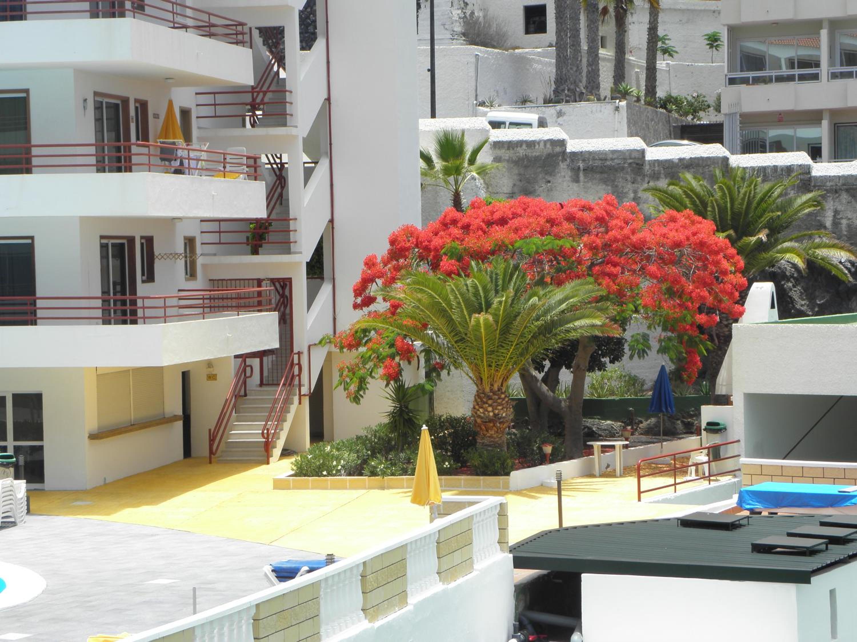 Beach Apartment with Ocean View La Arena