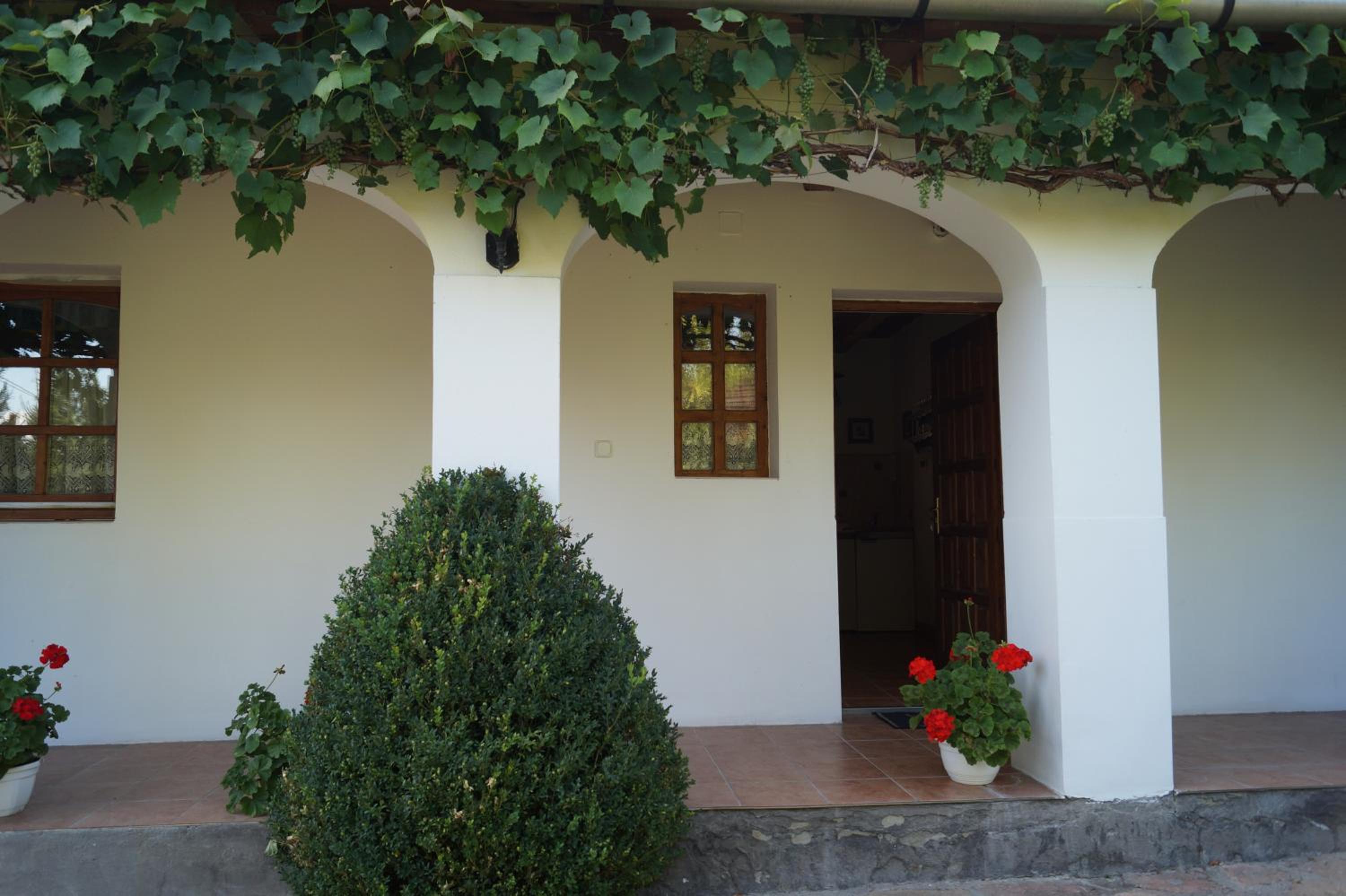 Photo 33