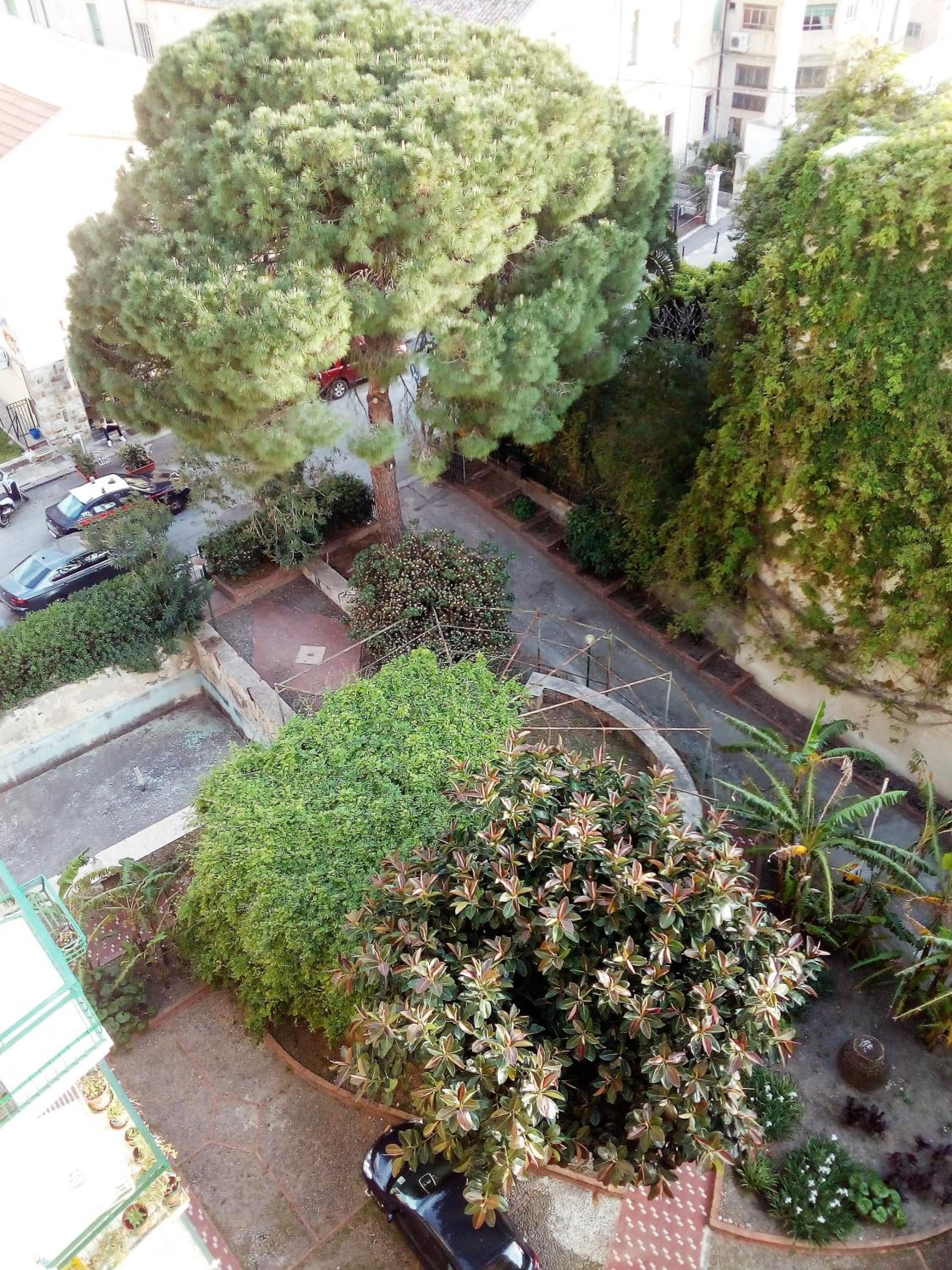 Photo 39