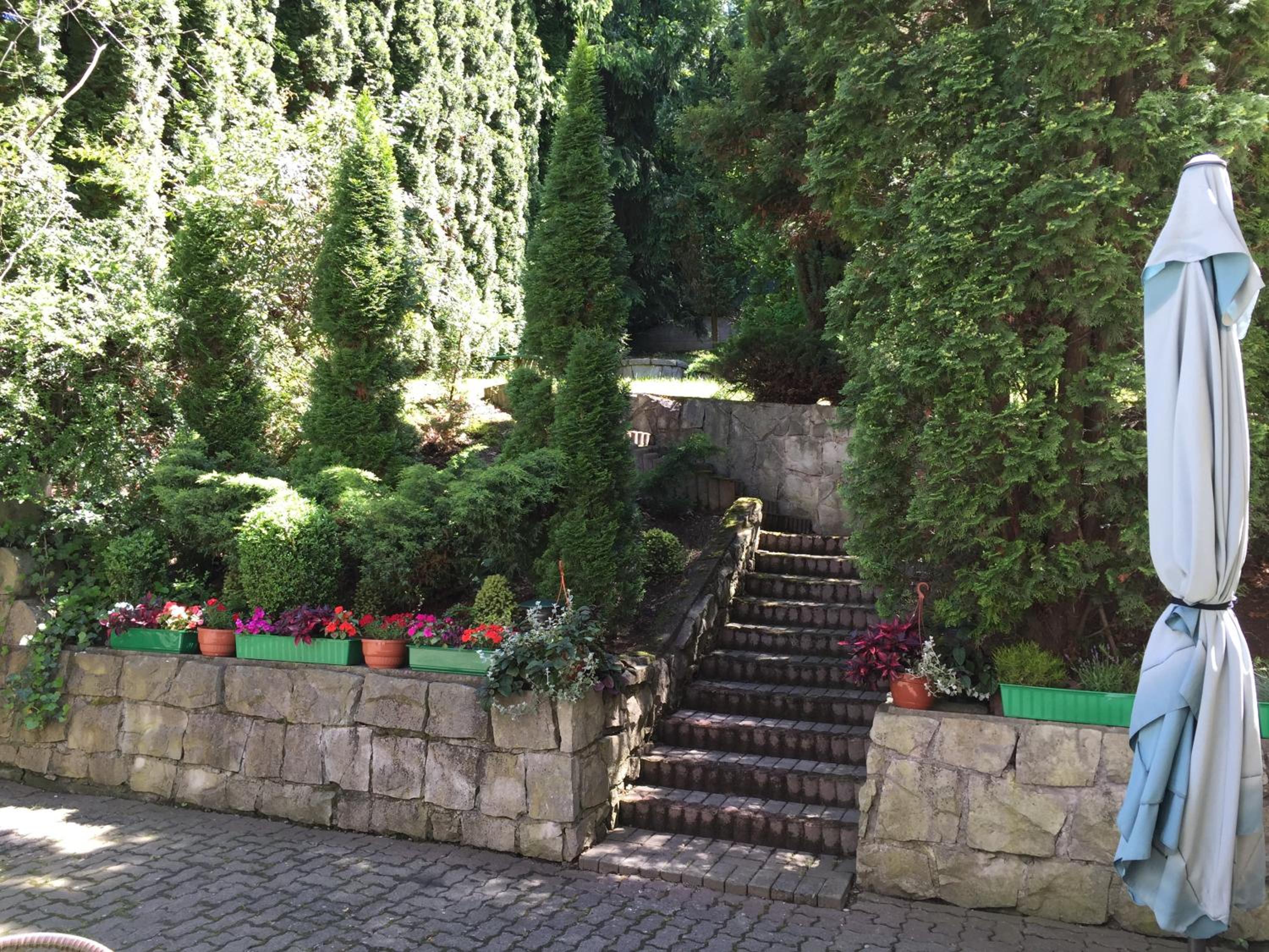 Photo 29