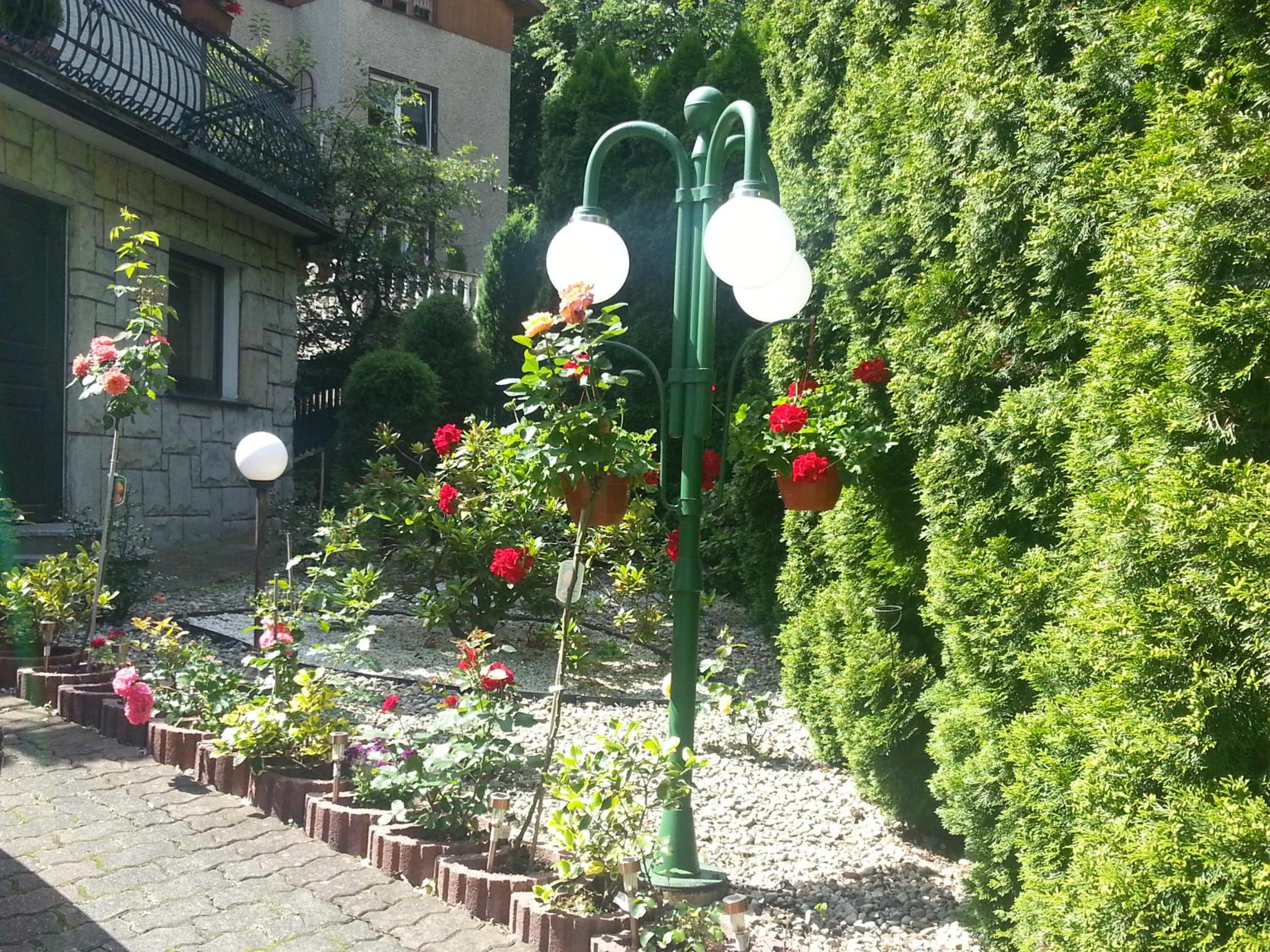 Photo 49