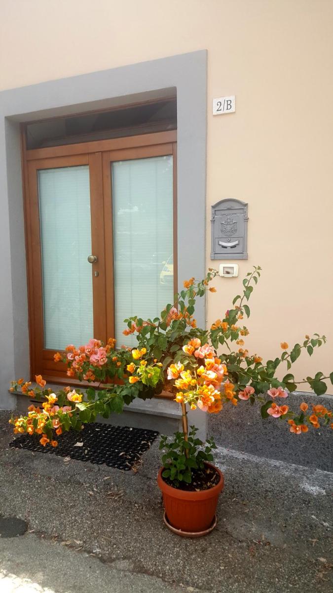 Photo 39