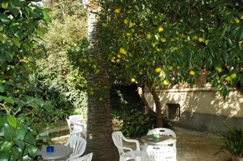 Hotel Lodi photo 4