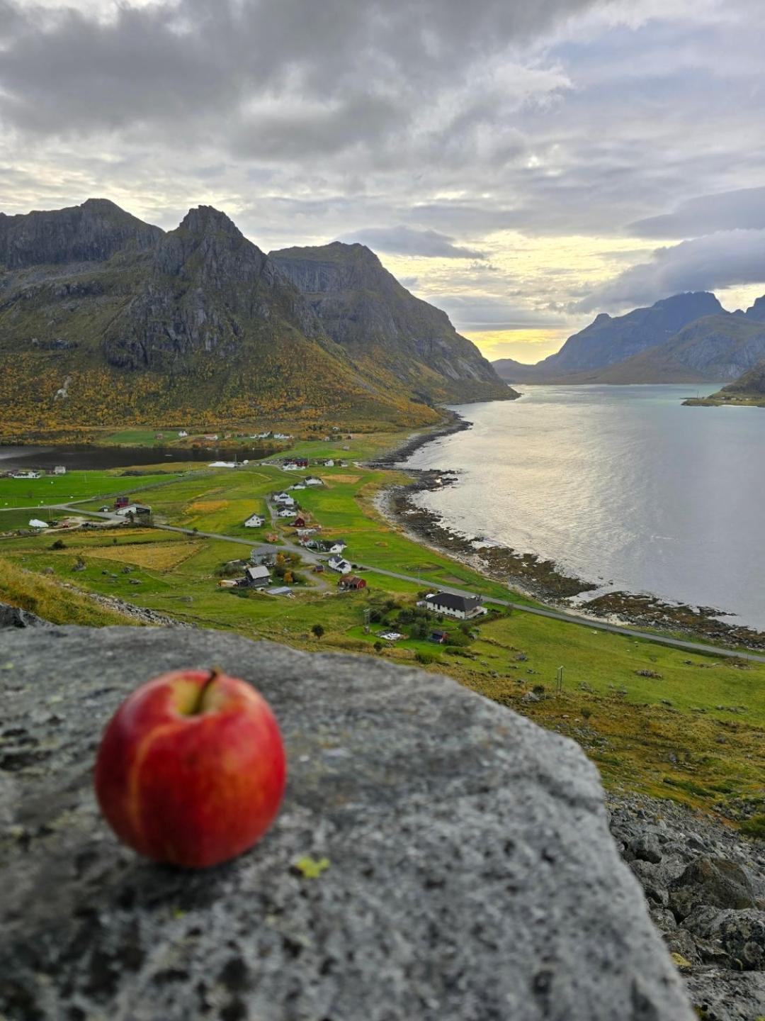 Vareid Panorama Lofoten Lysvollhuset