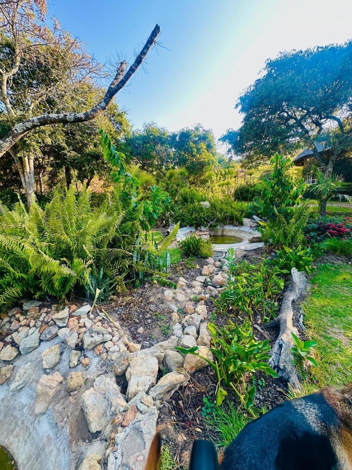 Luxury 5 bed home in Juliasdale - 2309