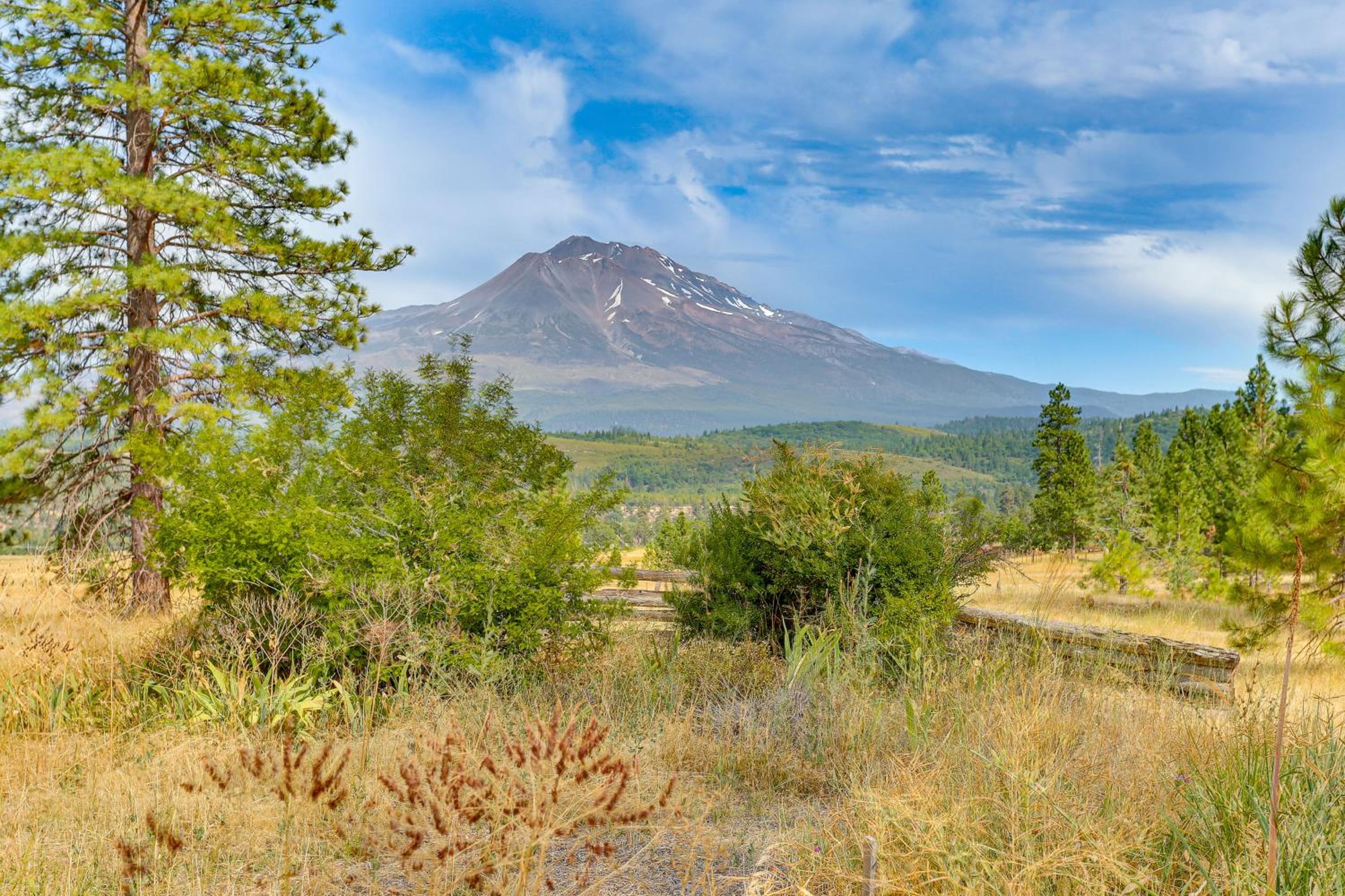 Outdoor Adventure Haven - 15 Mi to Mount Shasta!