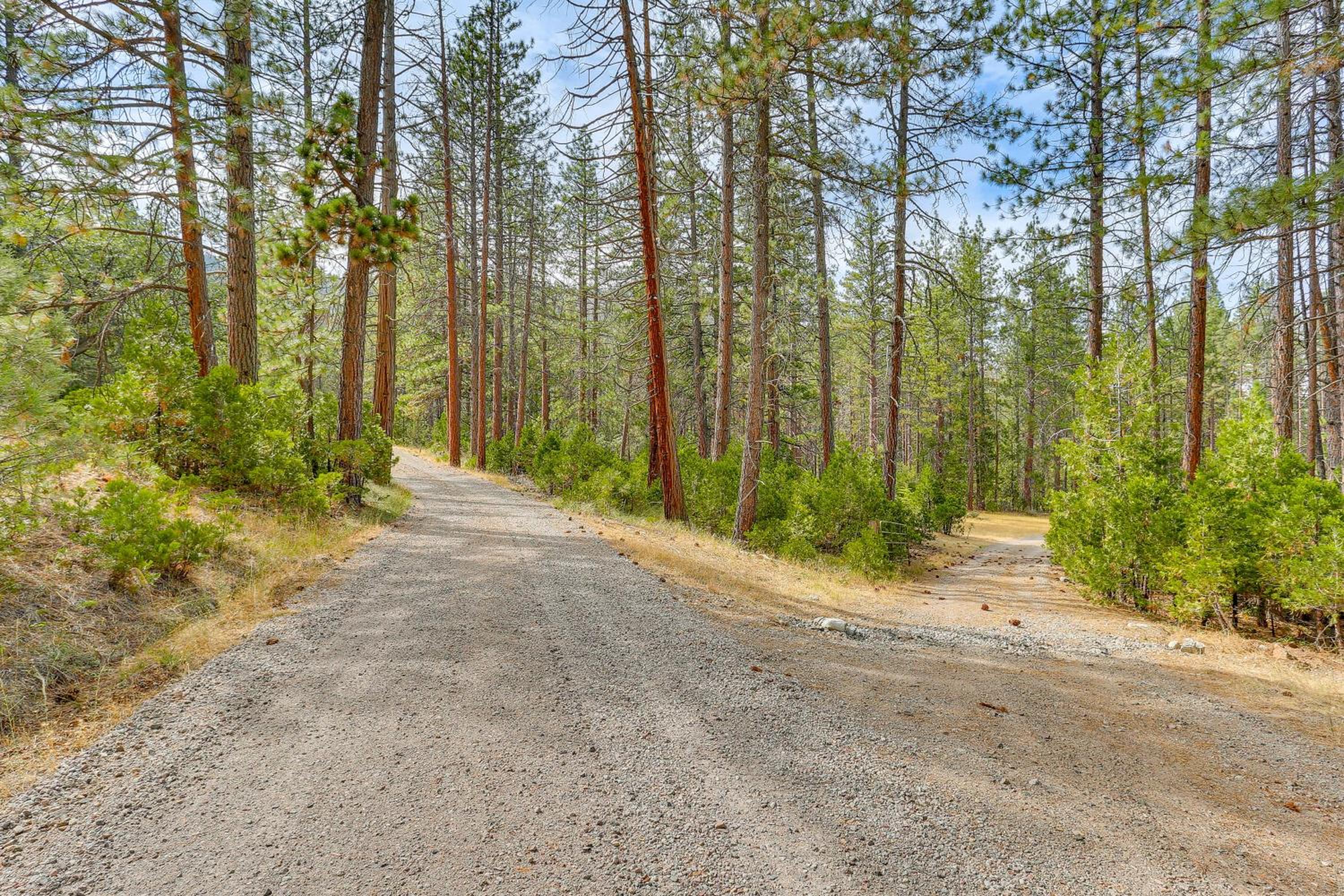 Outdoor Adventure Haven - 15 Mi to Mount Shasta!