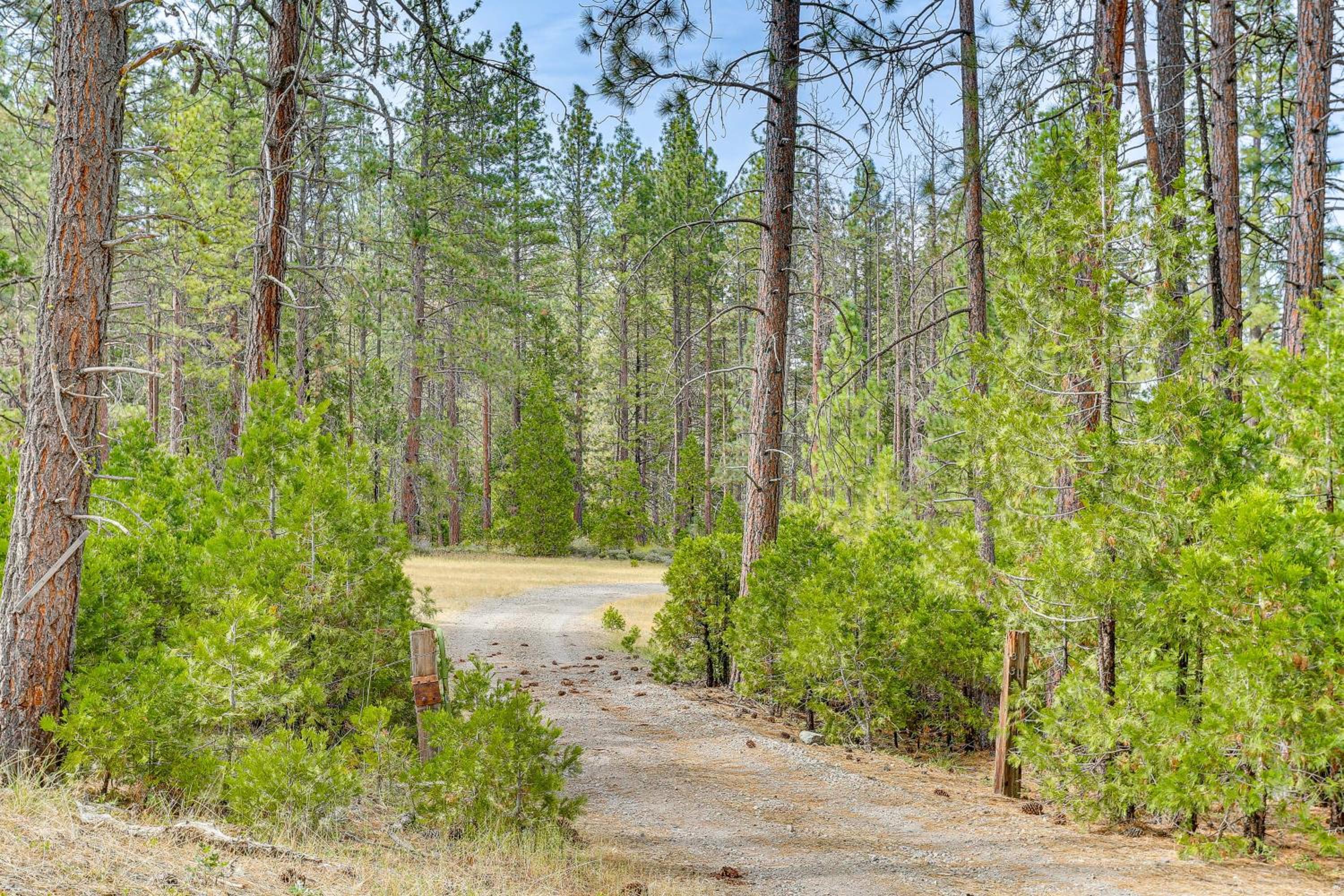 Outdoor Adventure Haven - 15 Mi to Mount Shasta!