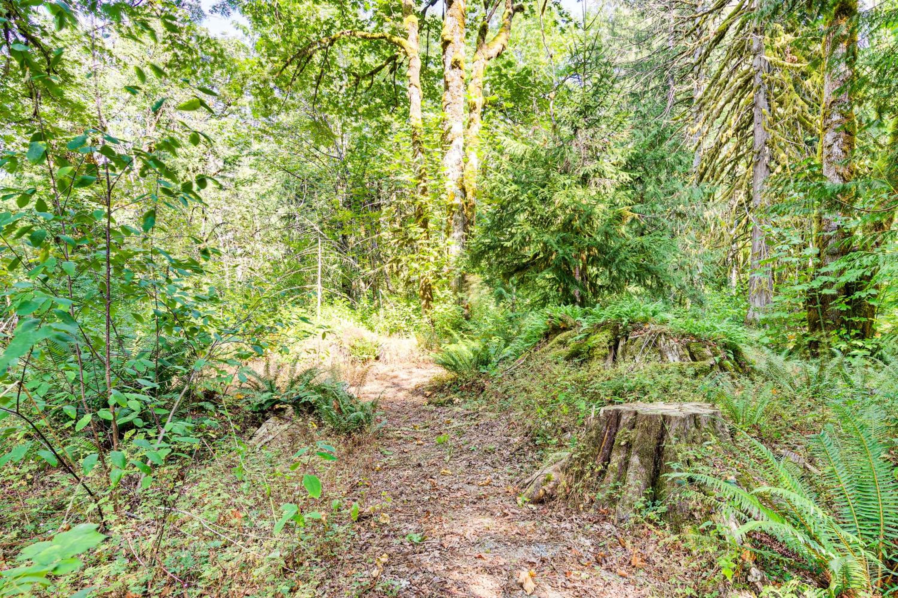 Walk to Skykomish River Wooded Escape with Fire Pit