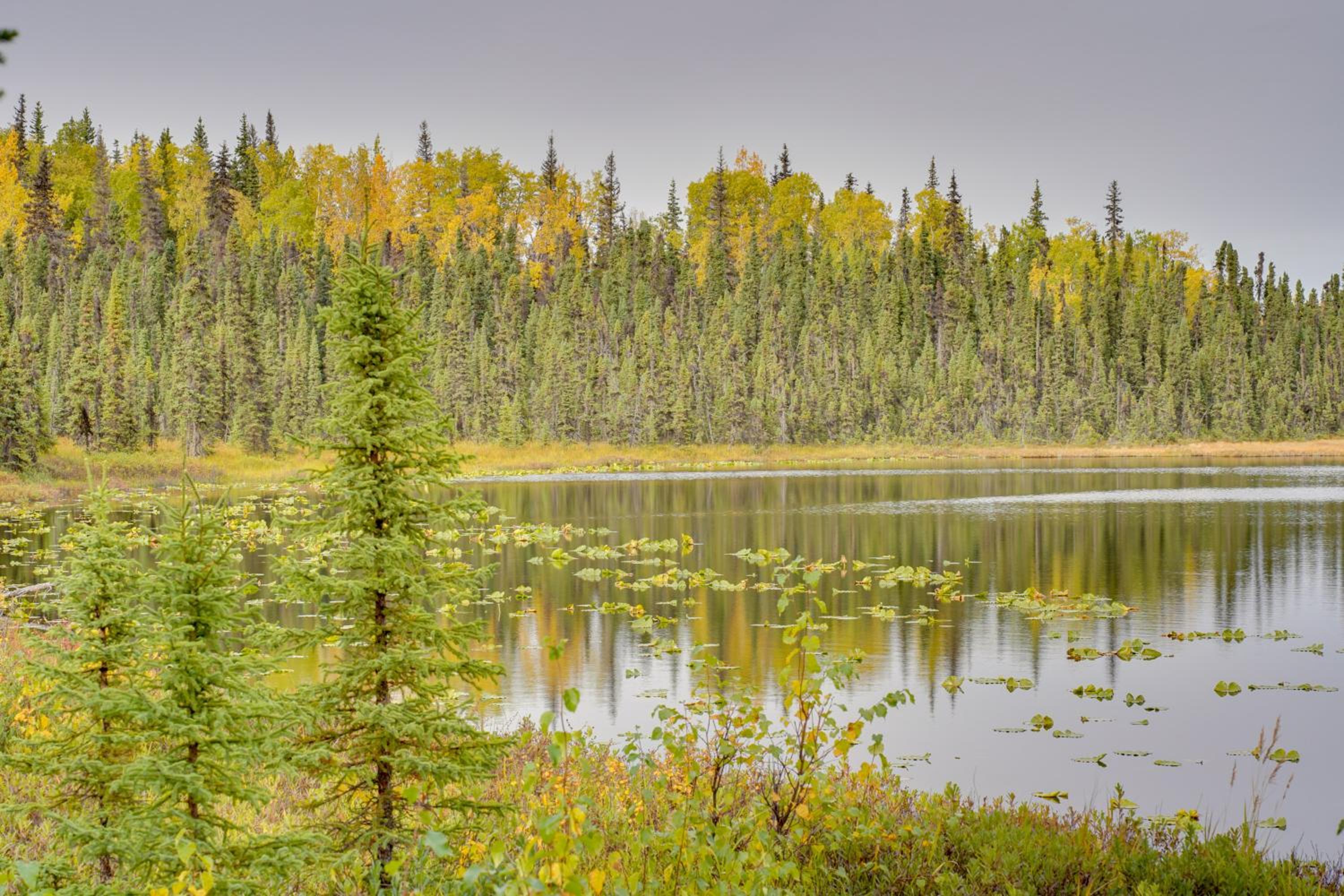 Lakefront Bliss! Ultimate Soldotna Retreat with Deck