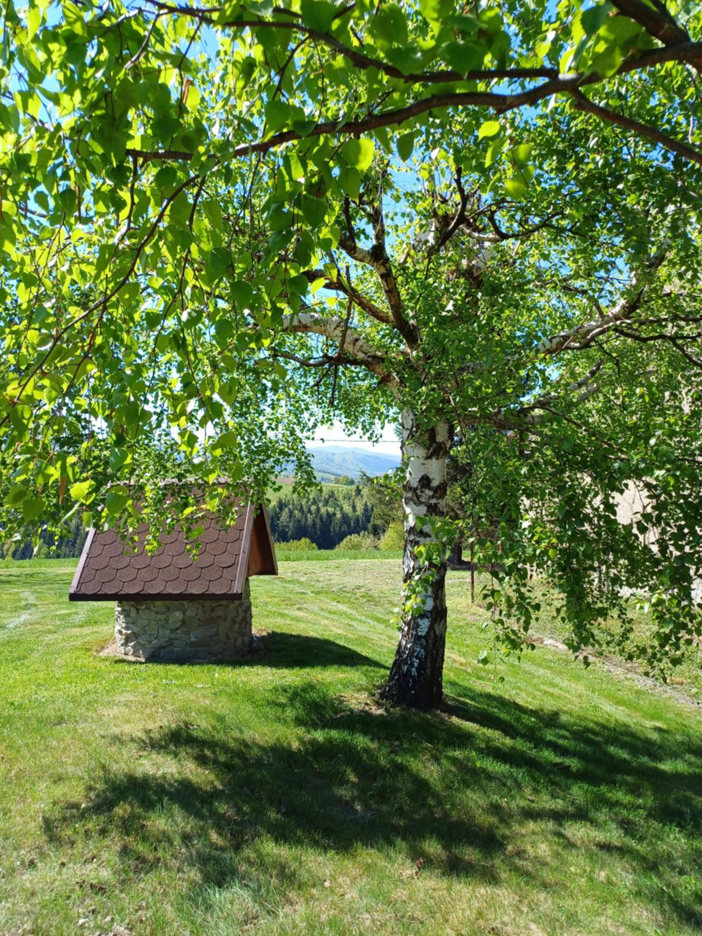 Photo 33