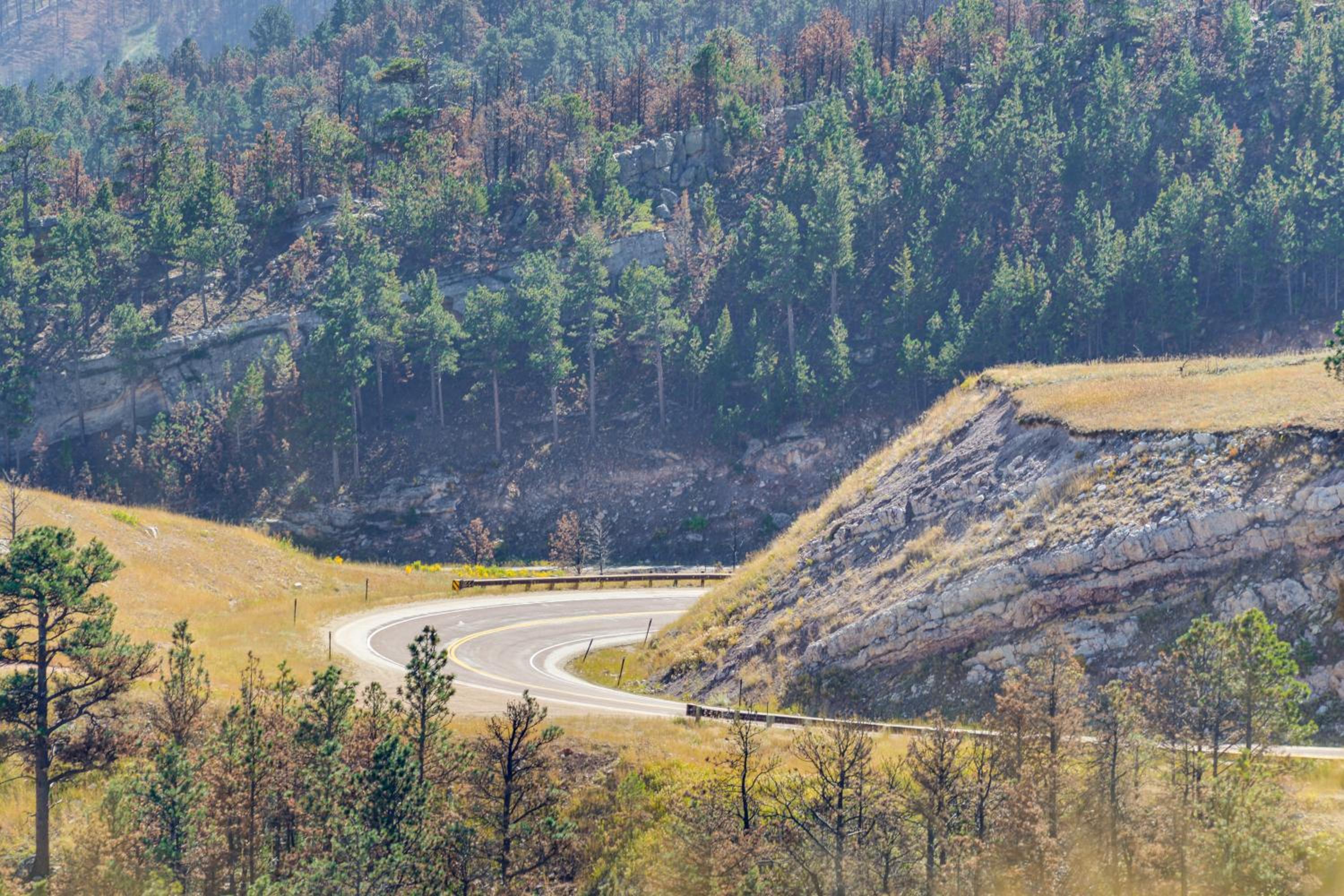 7 Mi to Bighorn Natl Forest Dog-Friendly Home