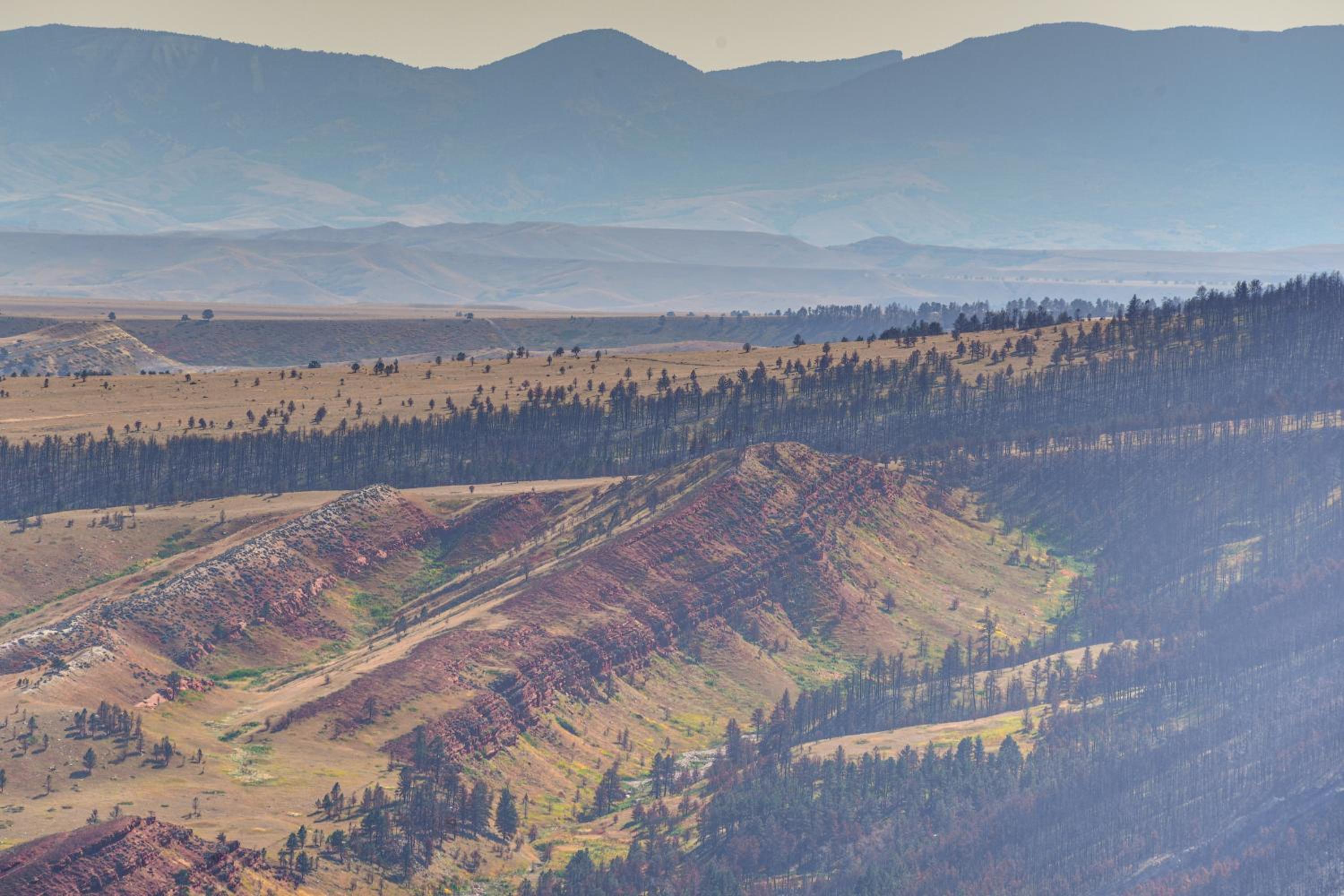 7 Mi to Bighorn Natl Forest Dog-Friendly Home