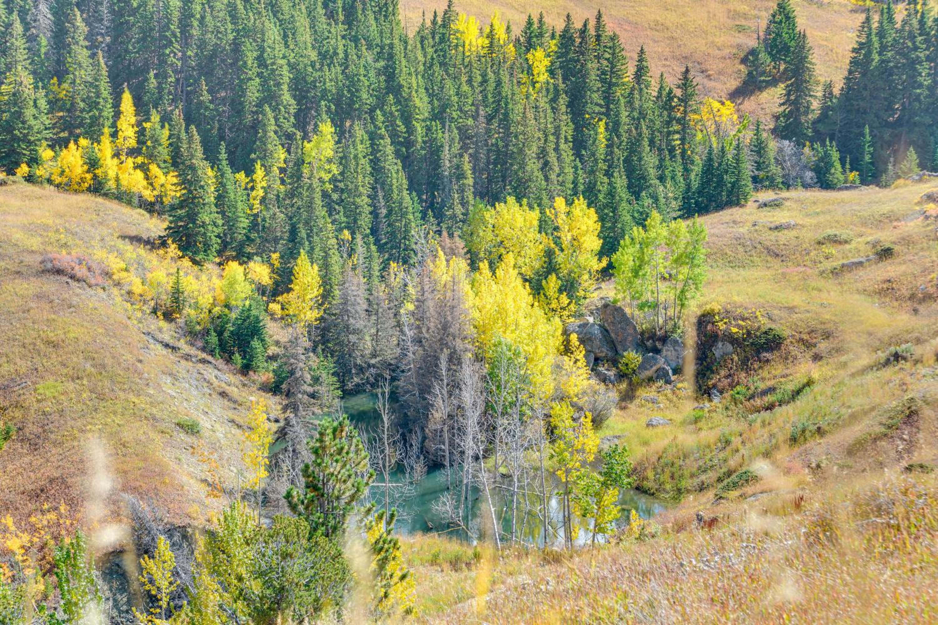 7 Mi to Bighorn Natl Forest Dog-Friendly Home