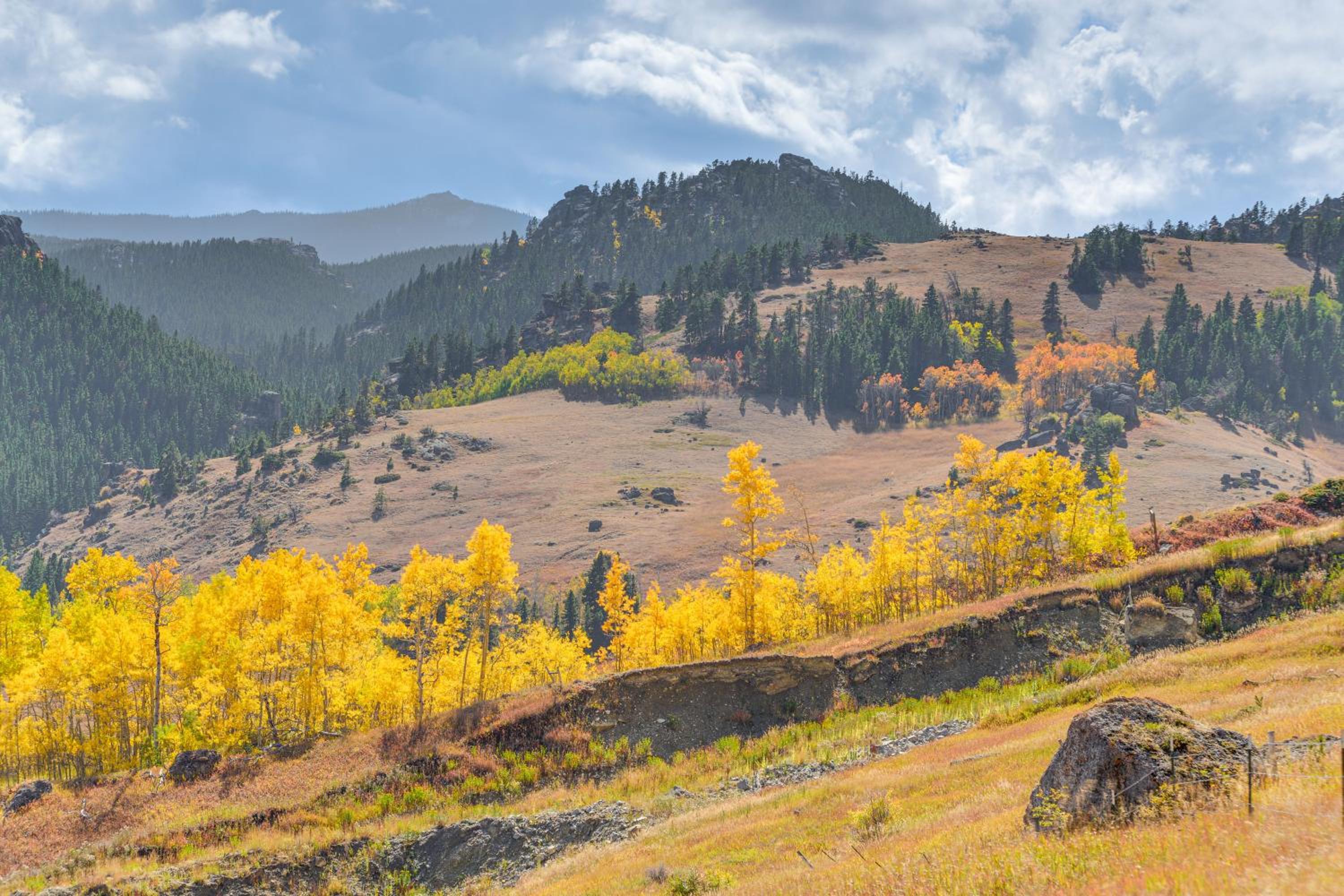 7 Mi to Bighorn Natl Forest Dog-Friendly Home