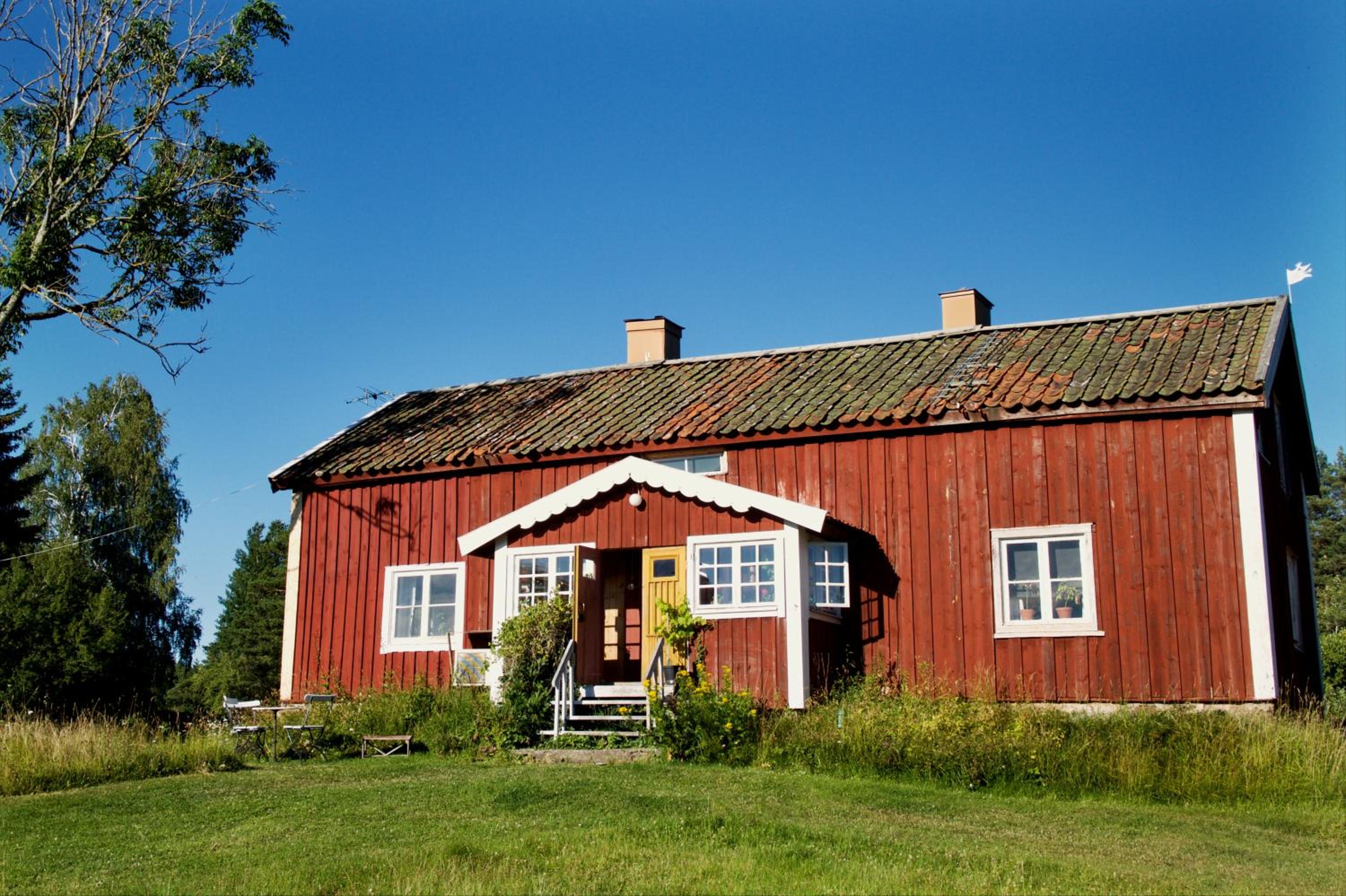 Photo 8