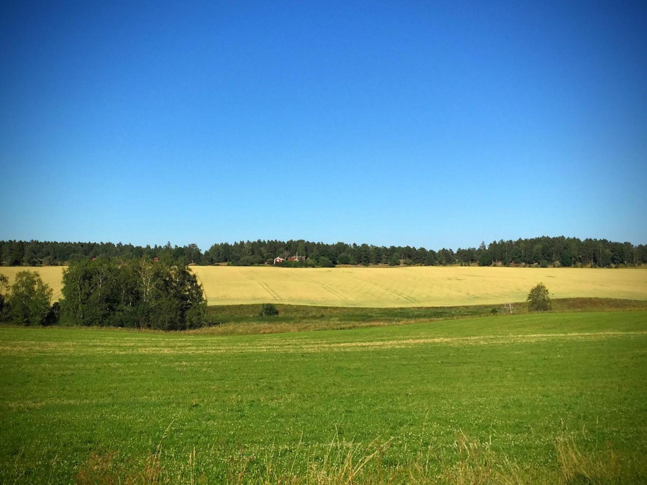 Pensionat Hogården view 5