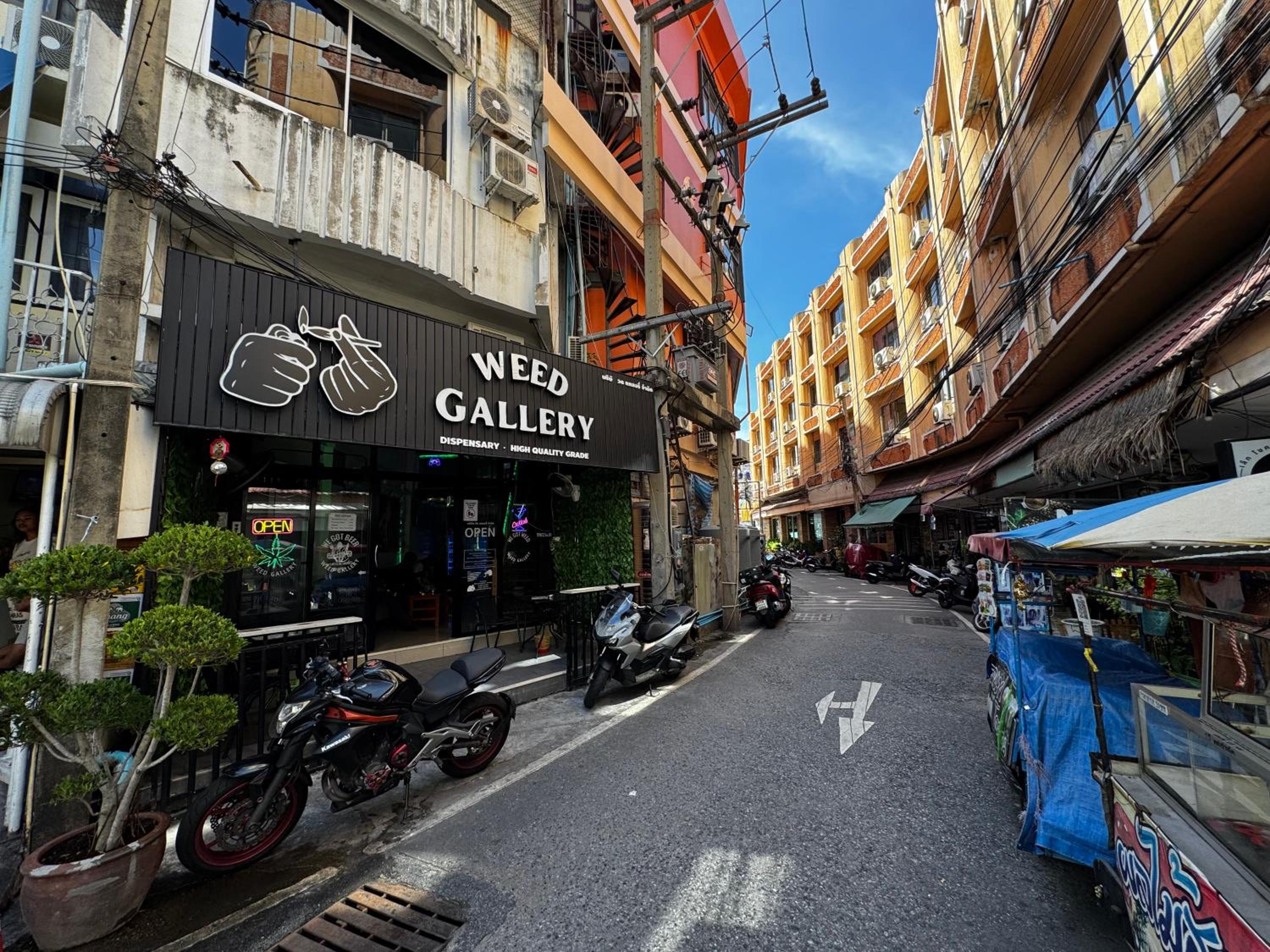 W33d Gallery Pattaya