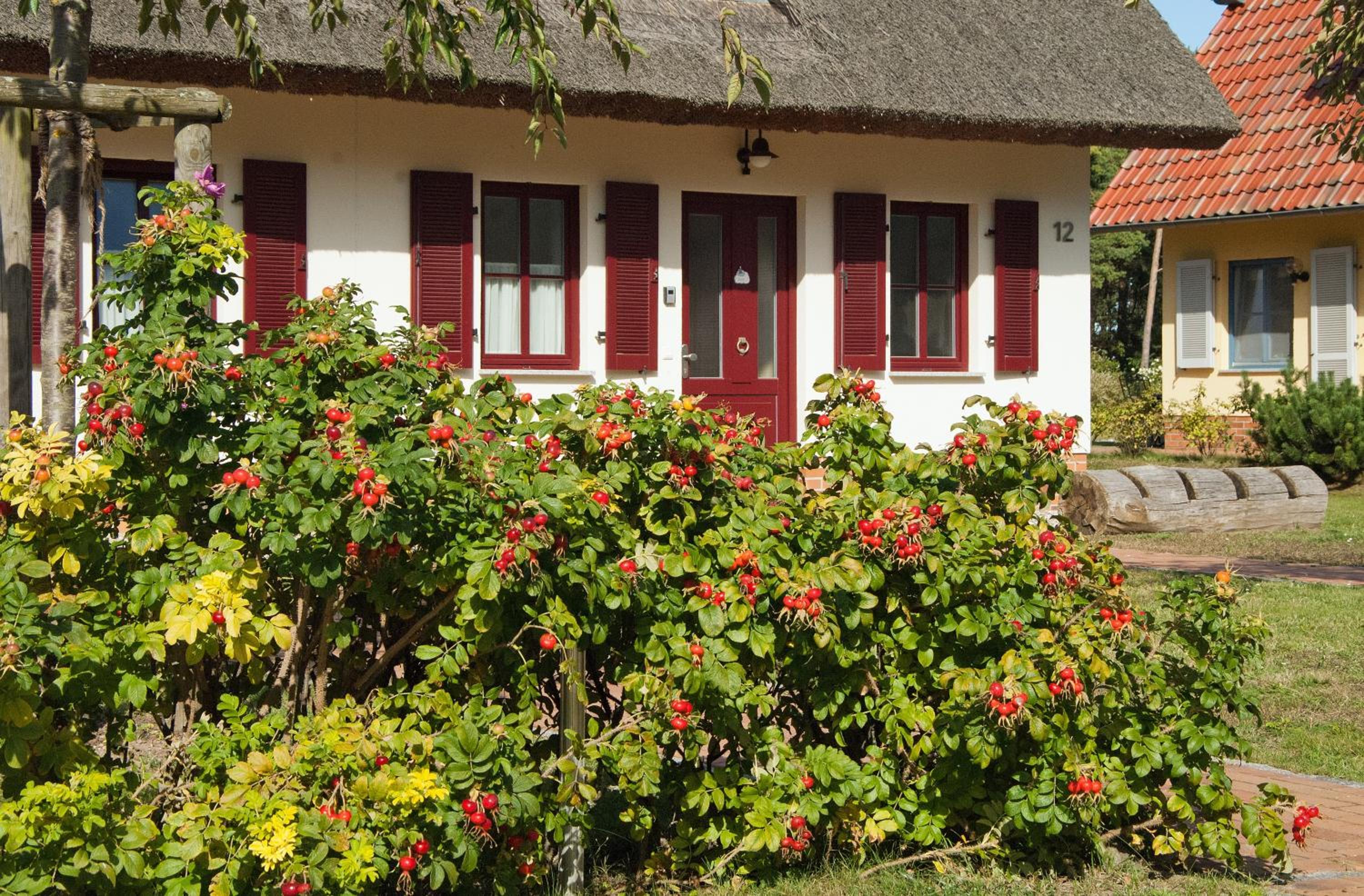 Dünenresidenz Glowe - Haus Luisa