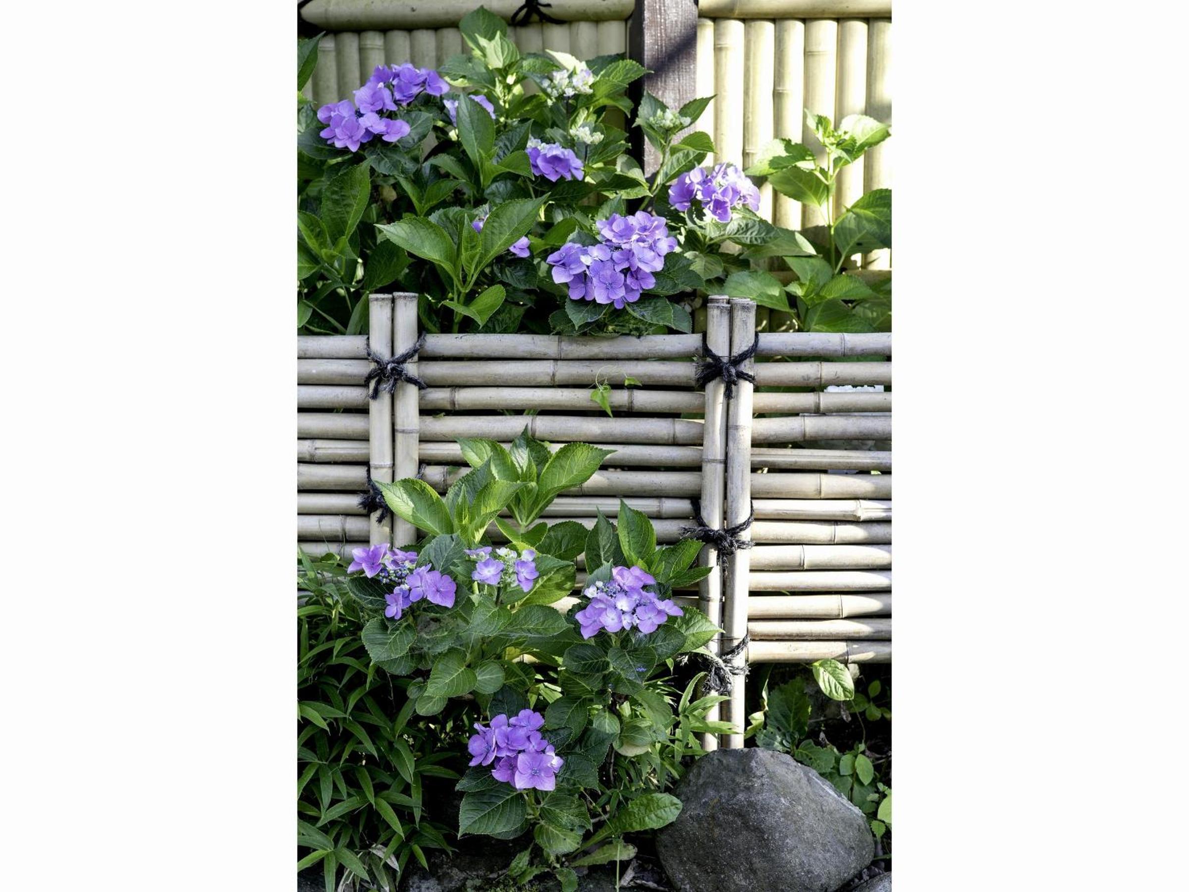 Ryokan Warabino
