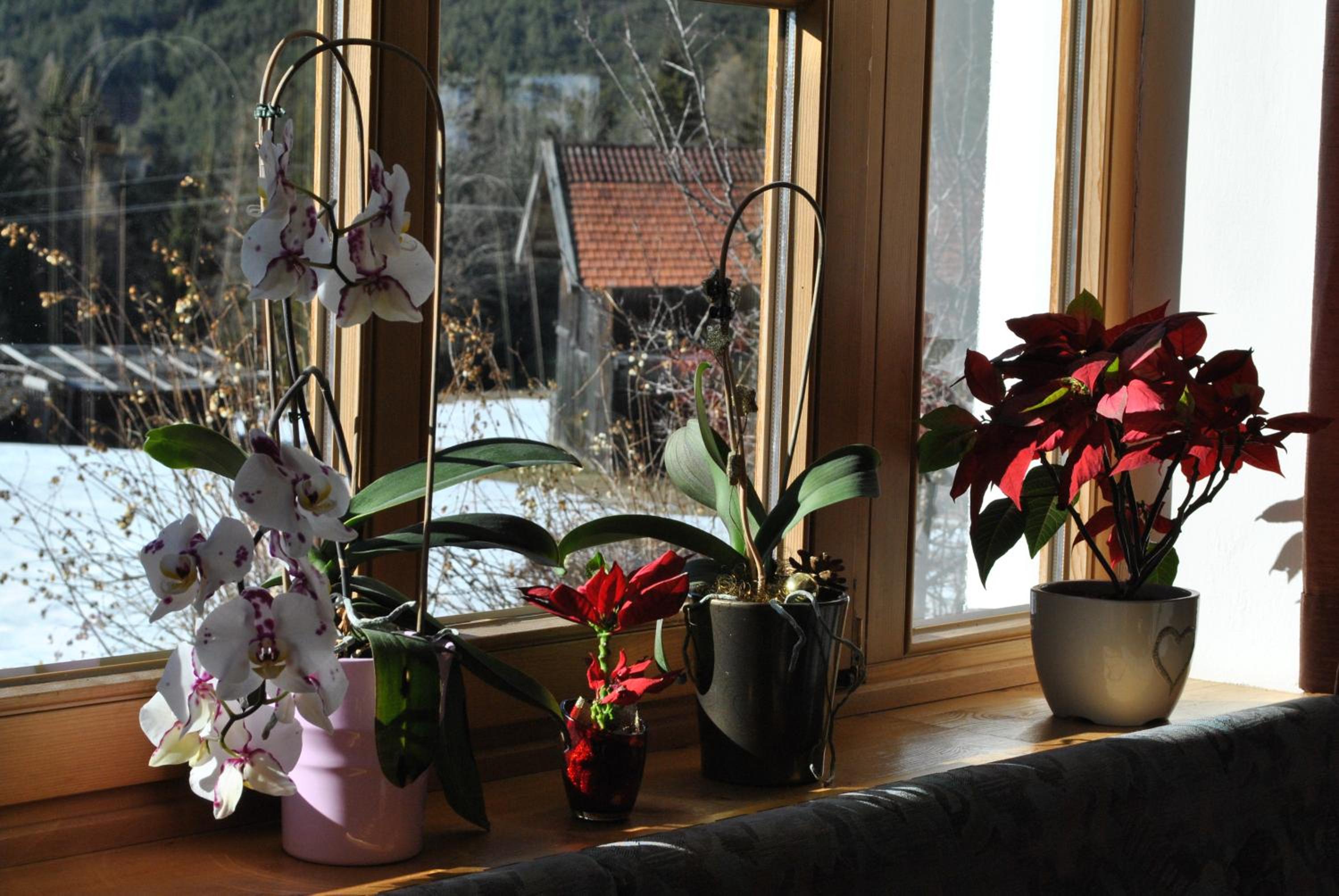 Gasthof Panorama