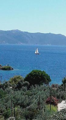 Theoxenia